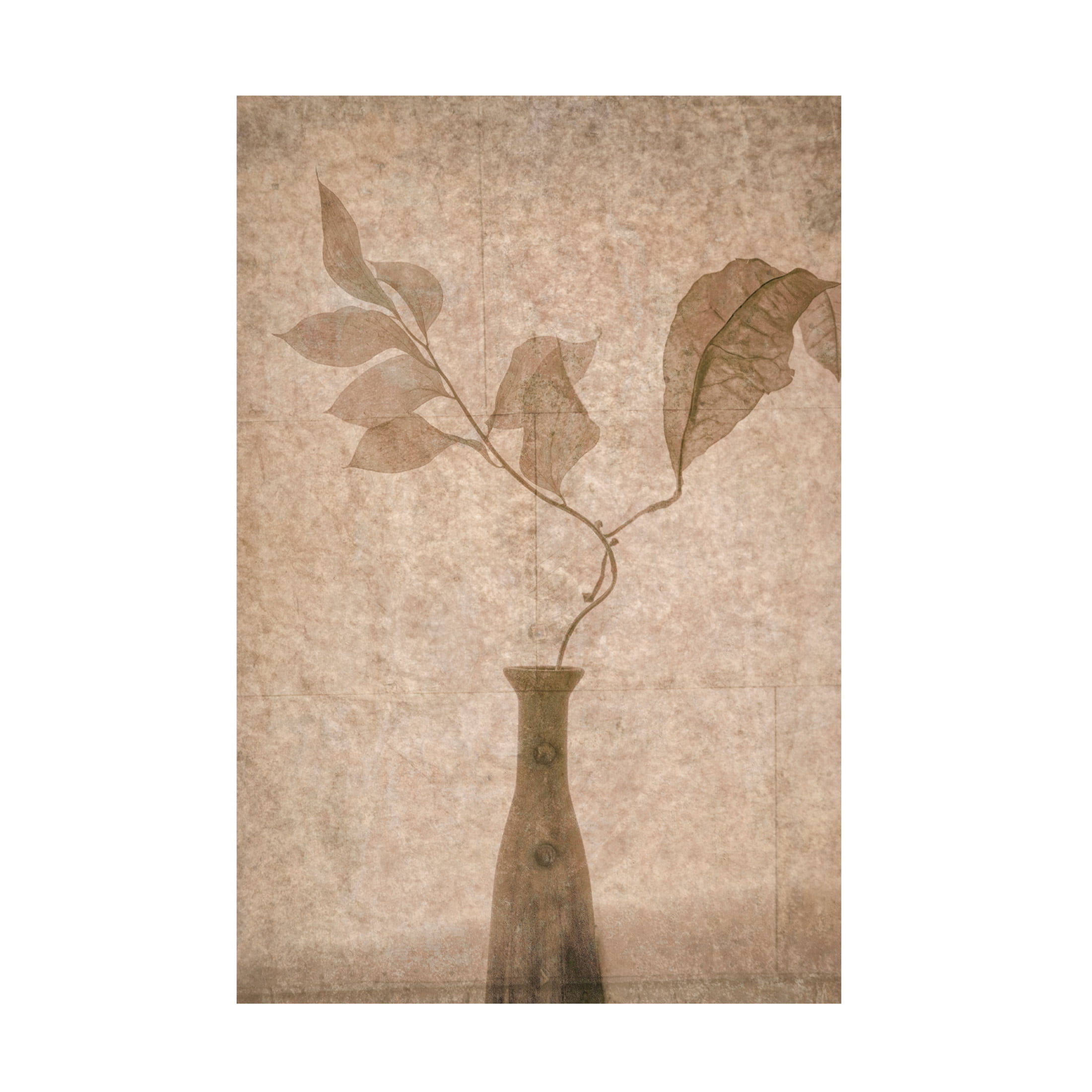 Canvas Wall Art - Igor Tokarev 'Still Life' Wall Art for Living Room, Bedroom, or Office Décor by Trademark Fine Art - 22 x 32 Inches
