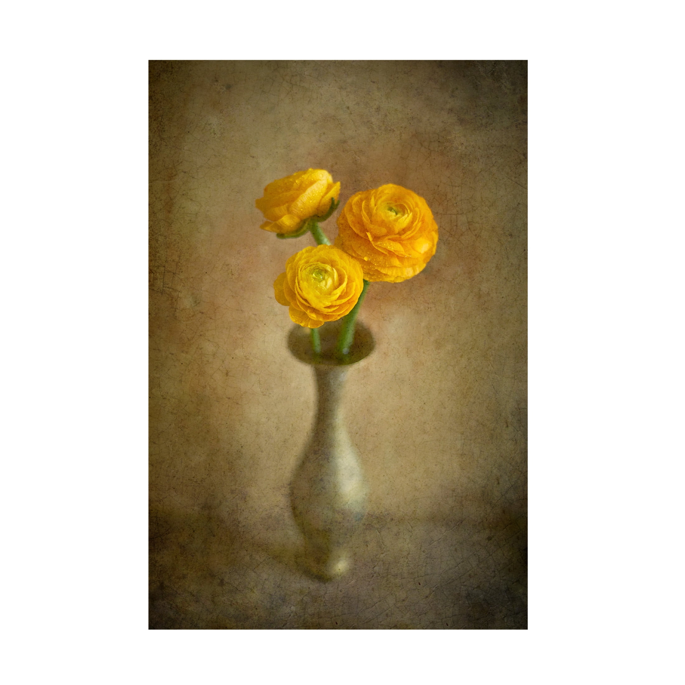 Canvas Wall Art - Igor Tokarev 'Yellow Buttercups' Wall Art for Living Room, Bedroom, or Office D?cor by Trademark Fine Art - 22 x 32 Inches