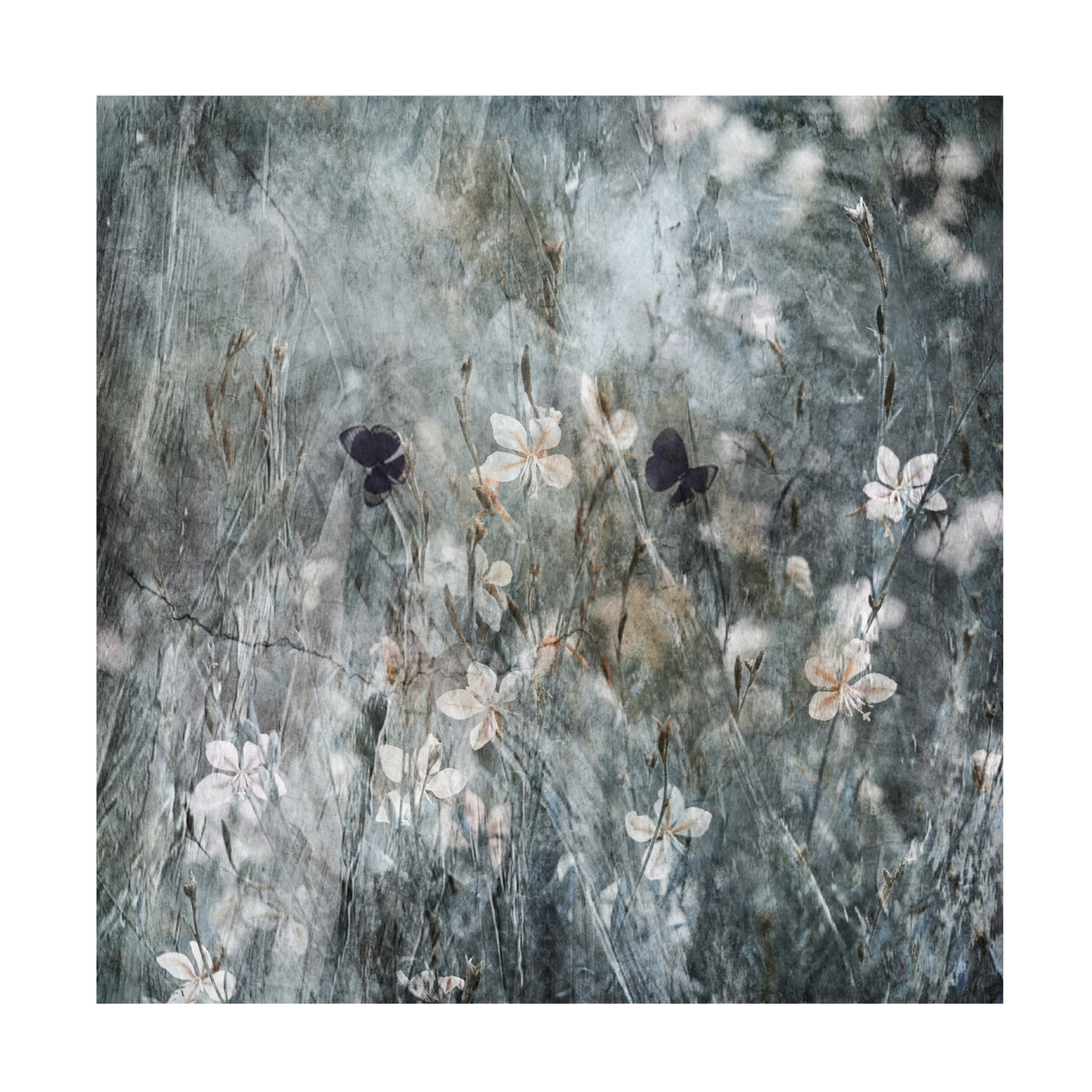 Canvas Wall Art - Ina Bouhuijzen 'Dance With Joy' Wall Art for Living Room, Bedroom, or Office Décor by Trademark Fine Art - 14 x 14 Inches