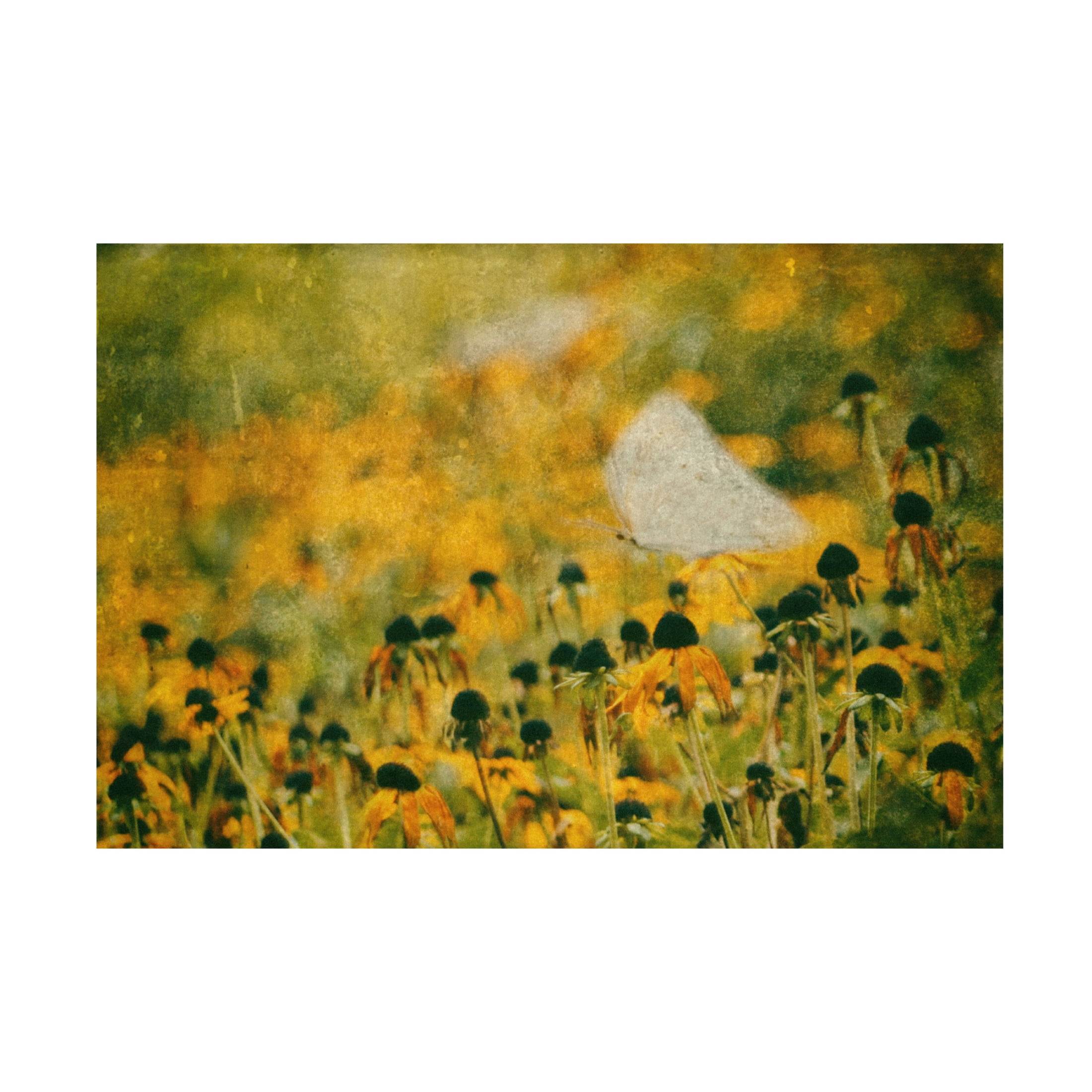 Canvas Wall Art - Ina Bouhuijzen 'End Of Summer' Wall Art for Living Room, Bedroom, or Office Décor by Trademark Fine Art - 19 x 12 Inches