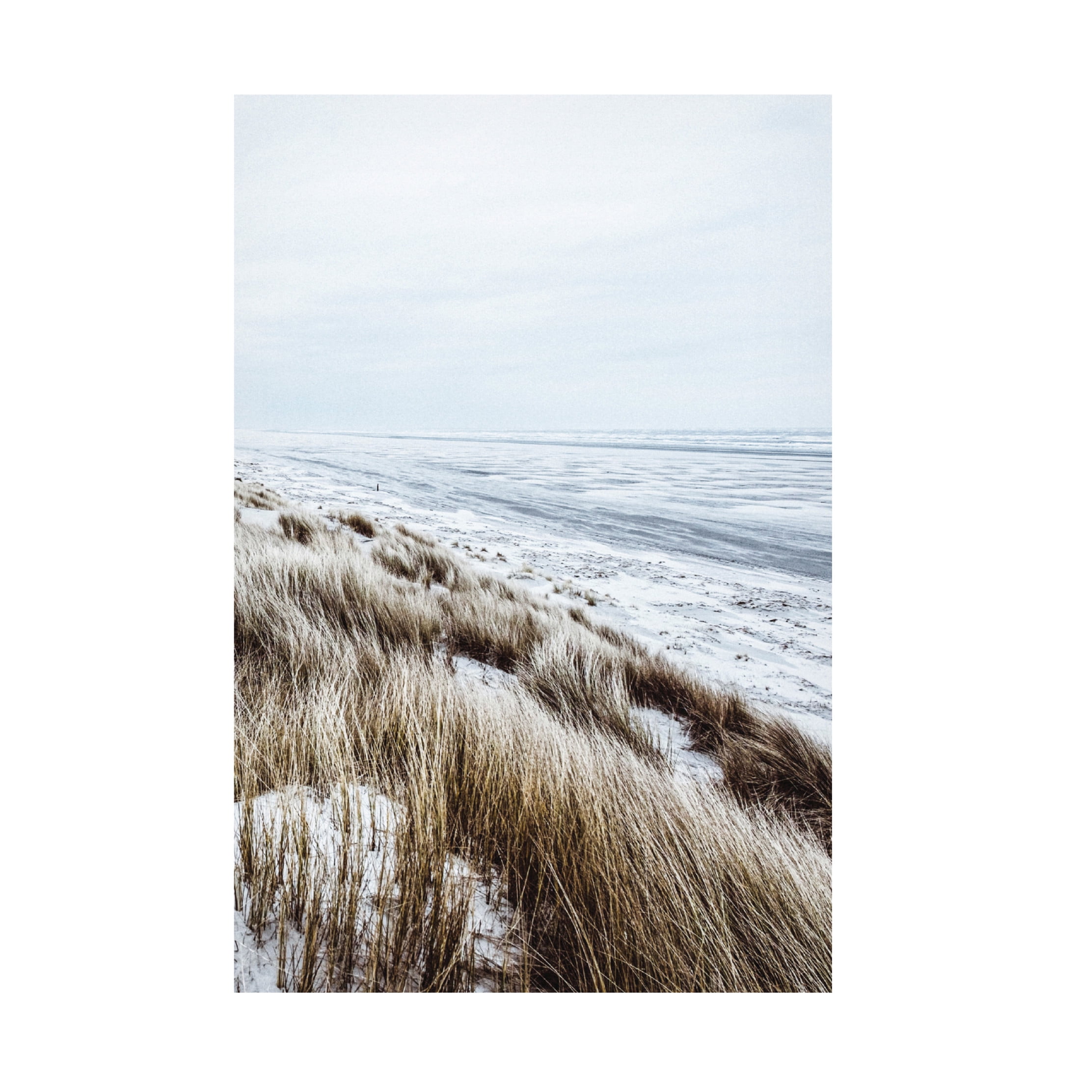Canvas Wall Art - Incado 'Coastal II' Wall Art for Living Room, Bedroom, or Office Décor by Trademark Fine Art - 16 x 24 Inches