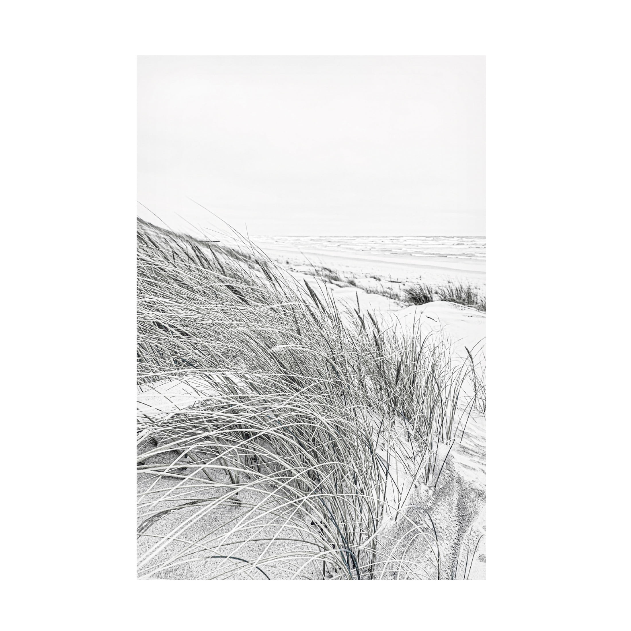 Canvas Wall Art - Incado 'Coastal III' Wall Art for Living Room, Bedroom, or Office Décor by Trademark Fine Art - 16 x 24 Inches
