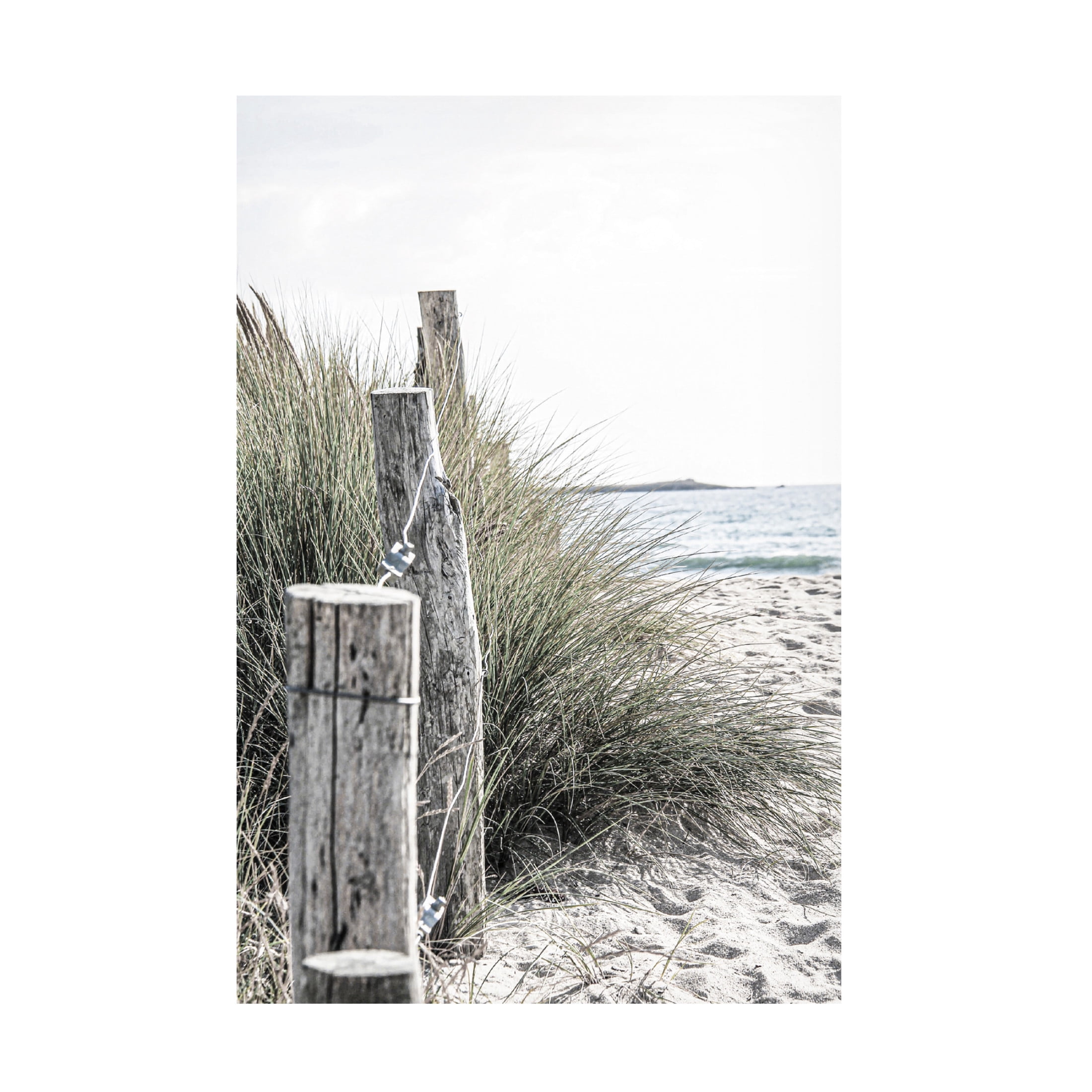 Canvas Wall Art - Incado 'Coastal V' Wall Art for Living Room, Bedroom, or Office Décor by Trademark Fine Art - 16 x 24 Inches