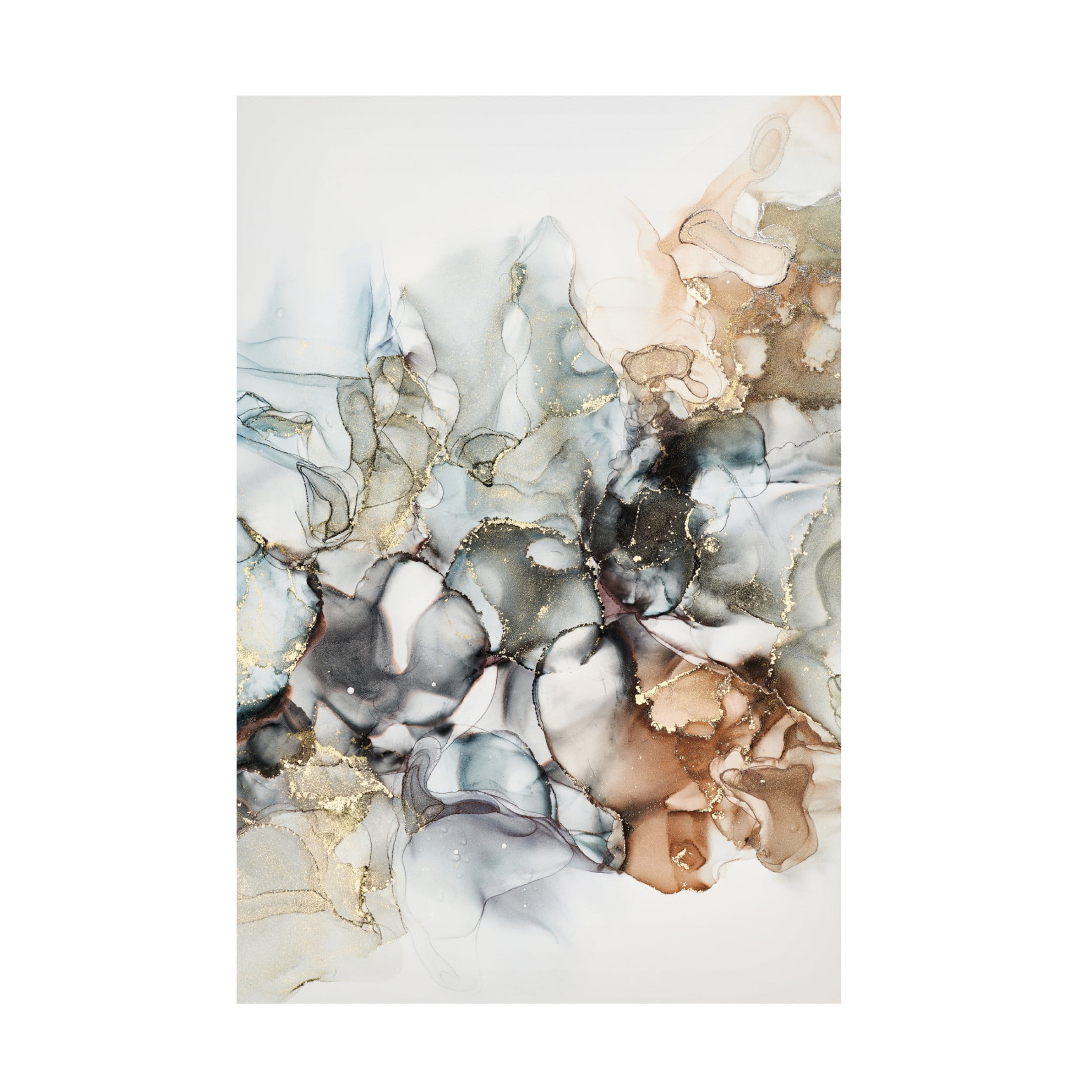 Canvas Wall Art - Incado 'Cosmos I' Wall Art for Living Room, Bedroom, or Office Décor by Trademark Fine Art - 16 x 24 Inches