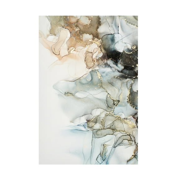 Canvas Wall Art - Incado 'Cosmos II' Wall Art for Living Room, Bedroom, or Office Décor by Trademark Fine Art - 12 x 19 Inches