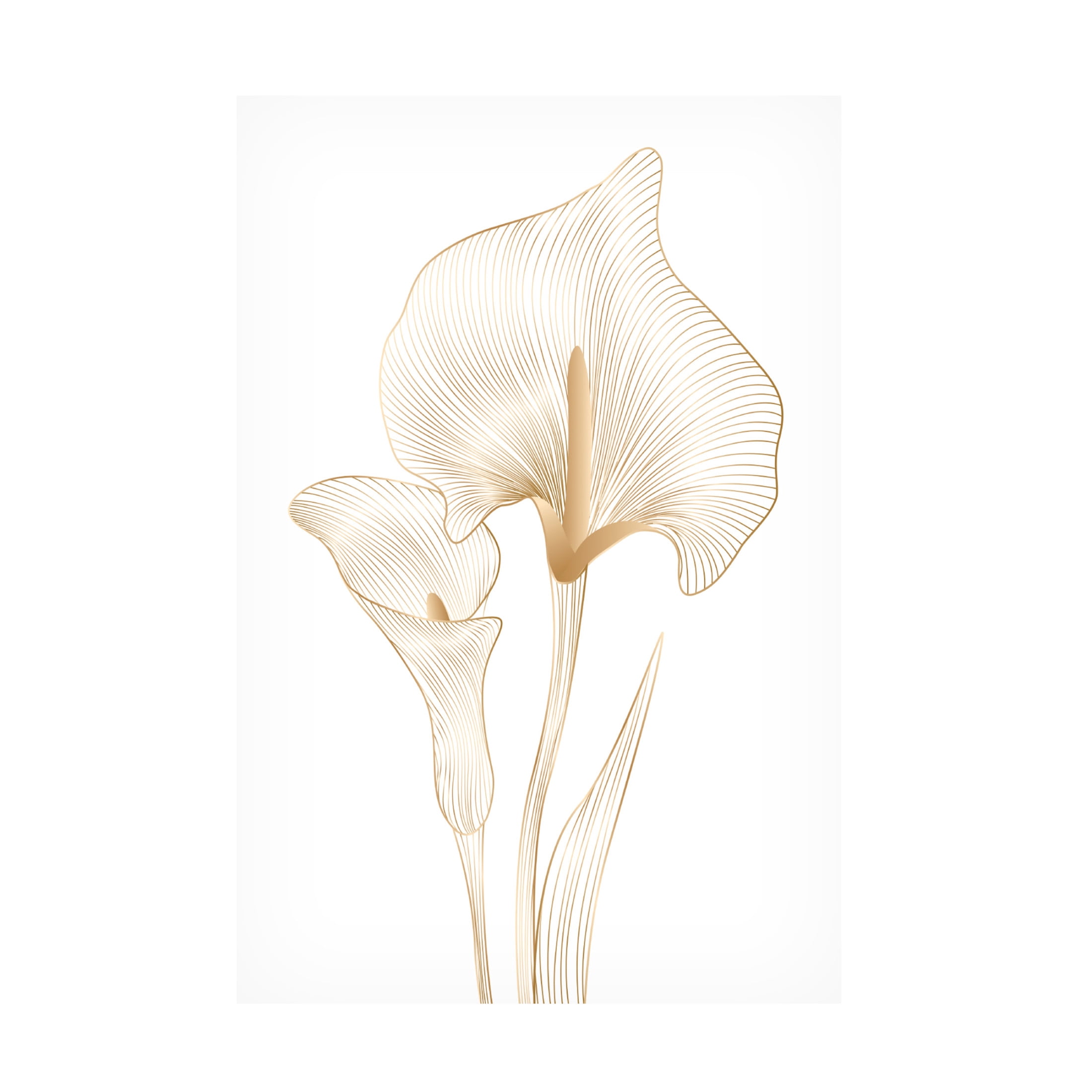 Canvas Wall Art - Incado 'Lily Line' Wall Art for Living Room, Bedroom, or Office Décor by Trademark Fine Art - 22 x 32 Inches