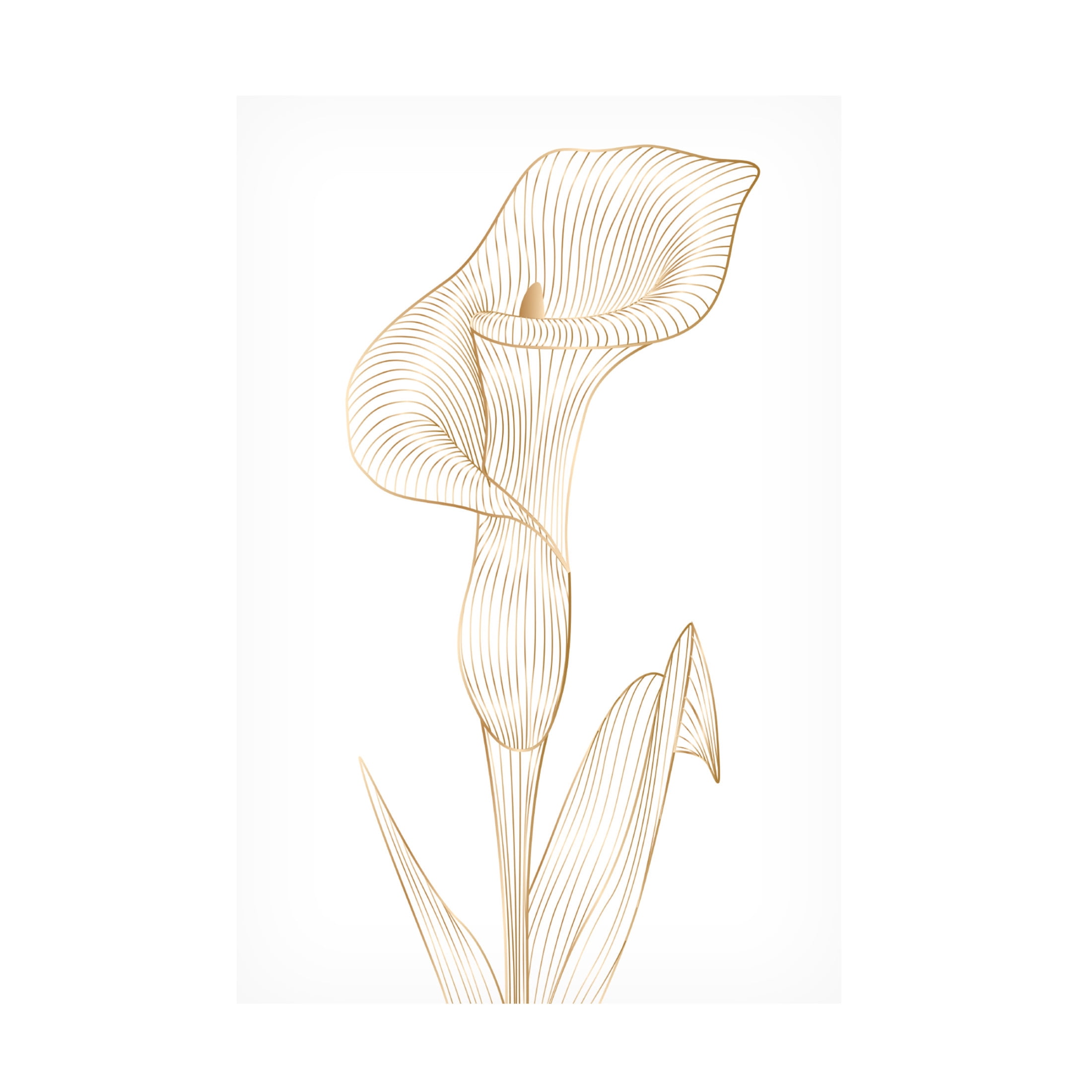 Canvas Wall Art - Incado 'Lily line I' Wall Art for Living Room, Bedroom, or Office Décor by Trademark Fine Art - 22 x 32 Inches