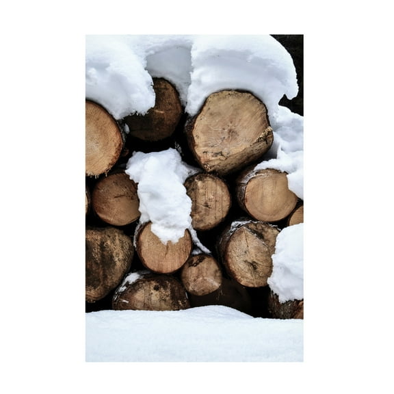 Canvas Wall Art - Incado 'Snow Covered Logs' Wall Art for Living Room, Bedroom, or Office Décor by Trademark Fine Art - 12 x 19 Inches