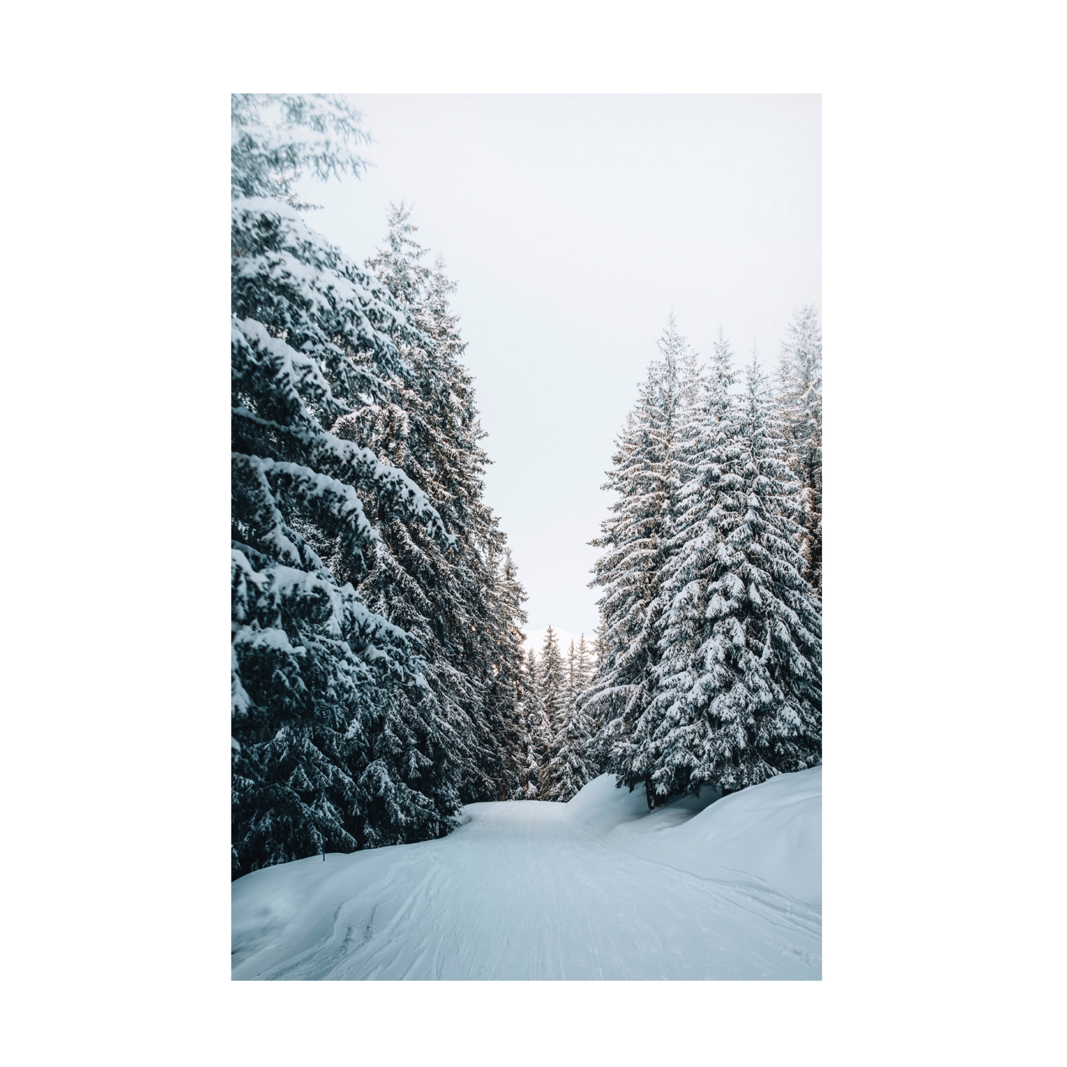 Canvas Wall Art - Incado 'Trail in Snow' Wall Art for Living Room, Bedroom, or Office Décor by Trademark Fine Art - 12 x 19 Inches