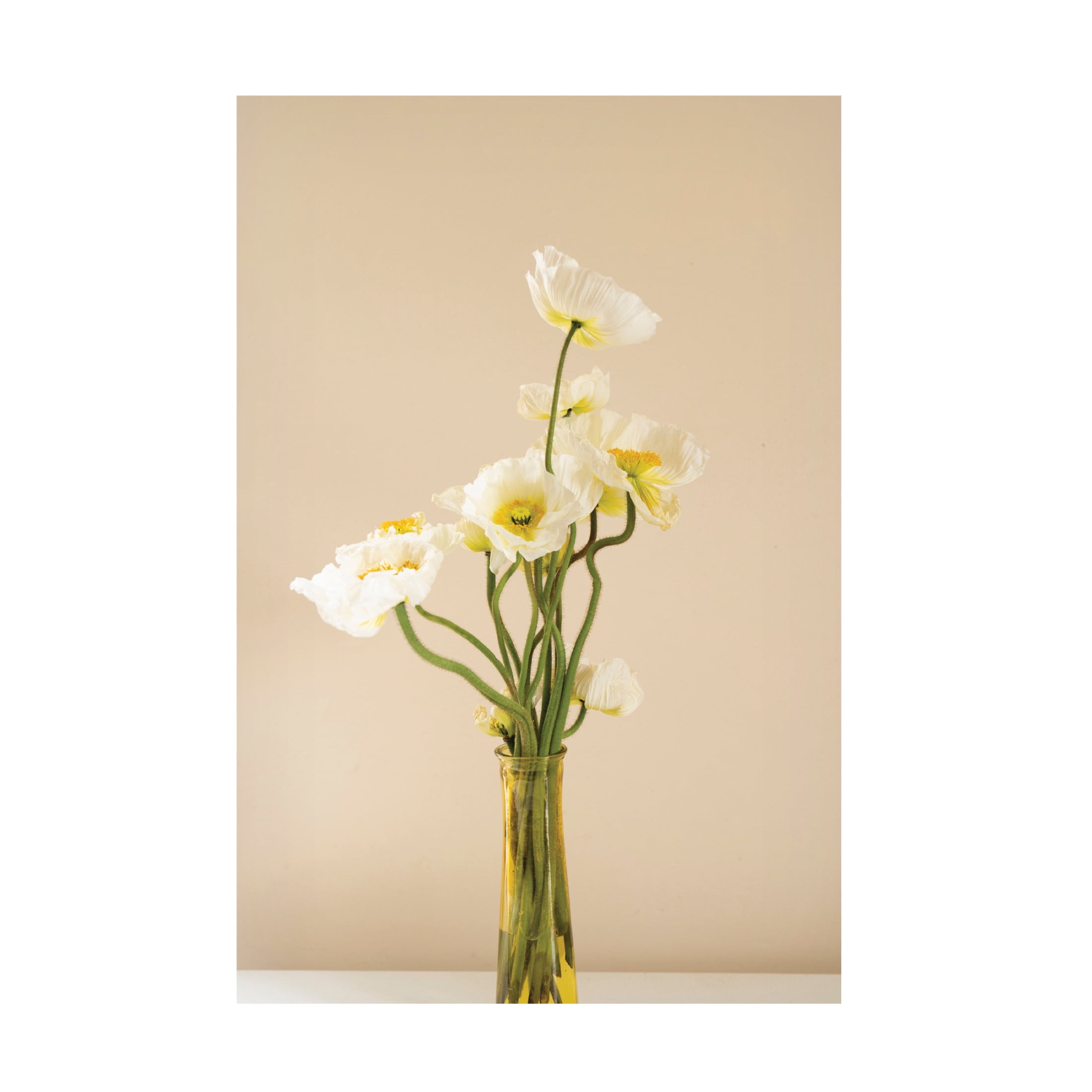 Canvas Wall Art - Incado 'Vase of Flowers' Wall Art for Living Room, Bedroom, or Office Décor by Trademark Fine Art - 22 x 32 Inches