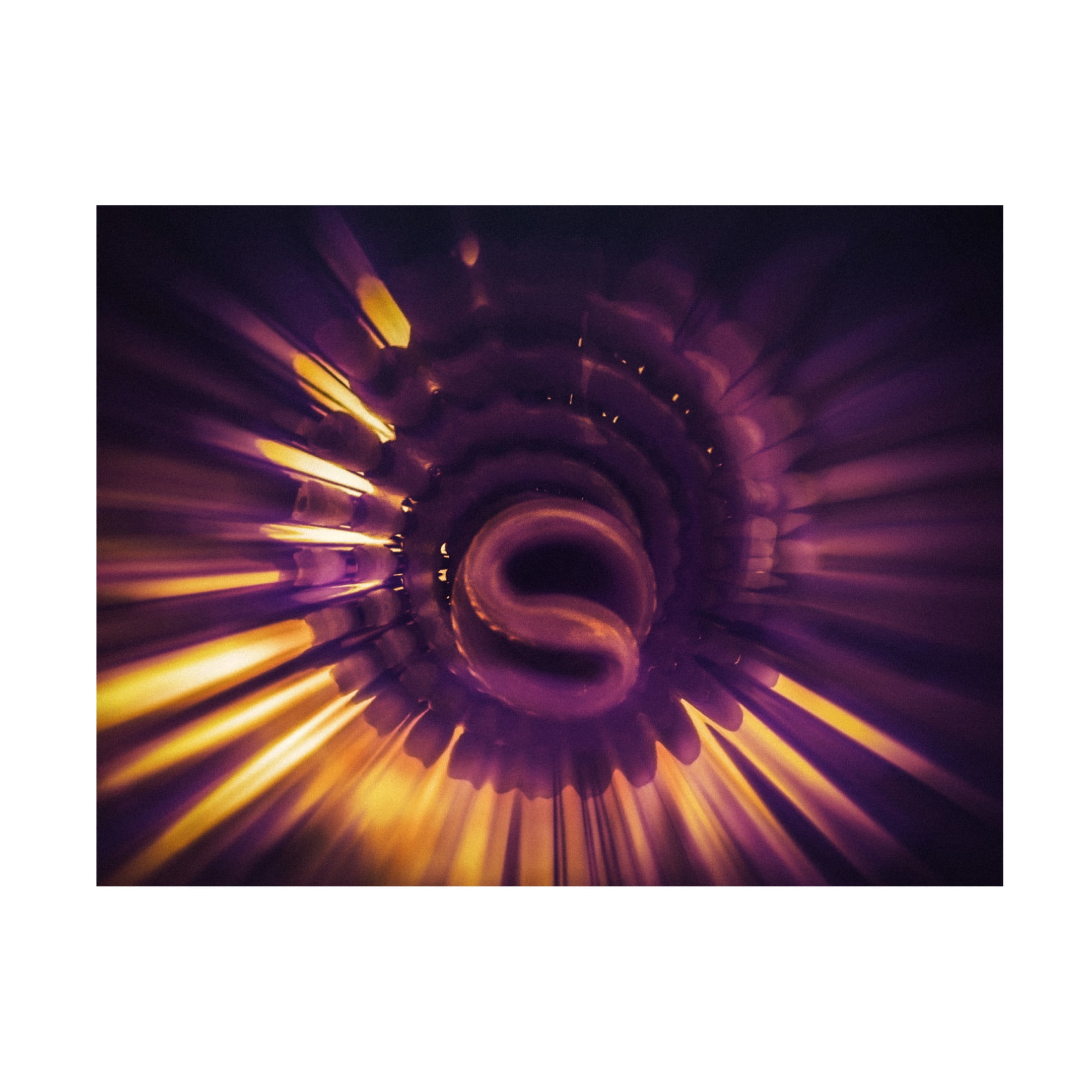 Canvas Wall Art - Ingo Menhard 'Pro Sun' Wall Art for Living Room, Bedroom, or Office D?cor by Trademark Fine Art - 47 x 35 Inches