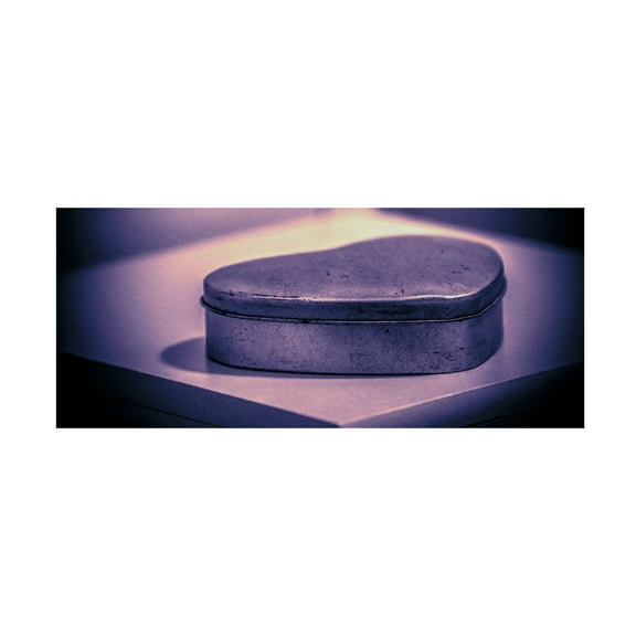 Canvas Wall Art - Ingo Menhard 'The Gift' Wall Art for Living Room, Bedroom, or Office D?cor by Trademark Fine Art - 19 x 8 Inches