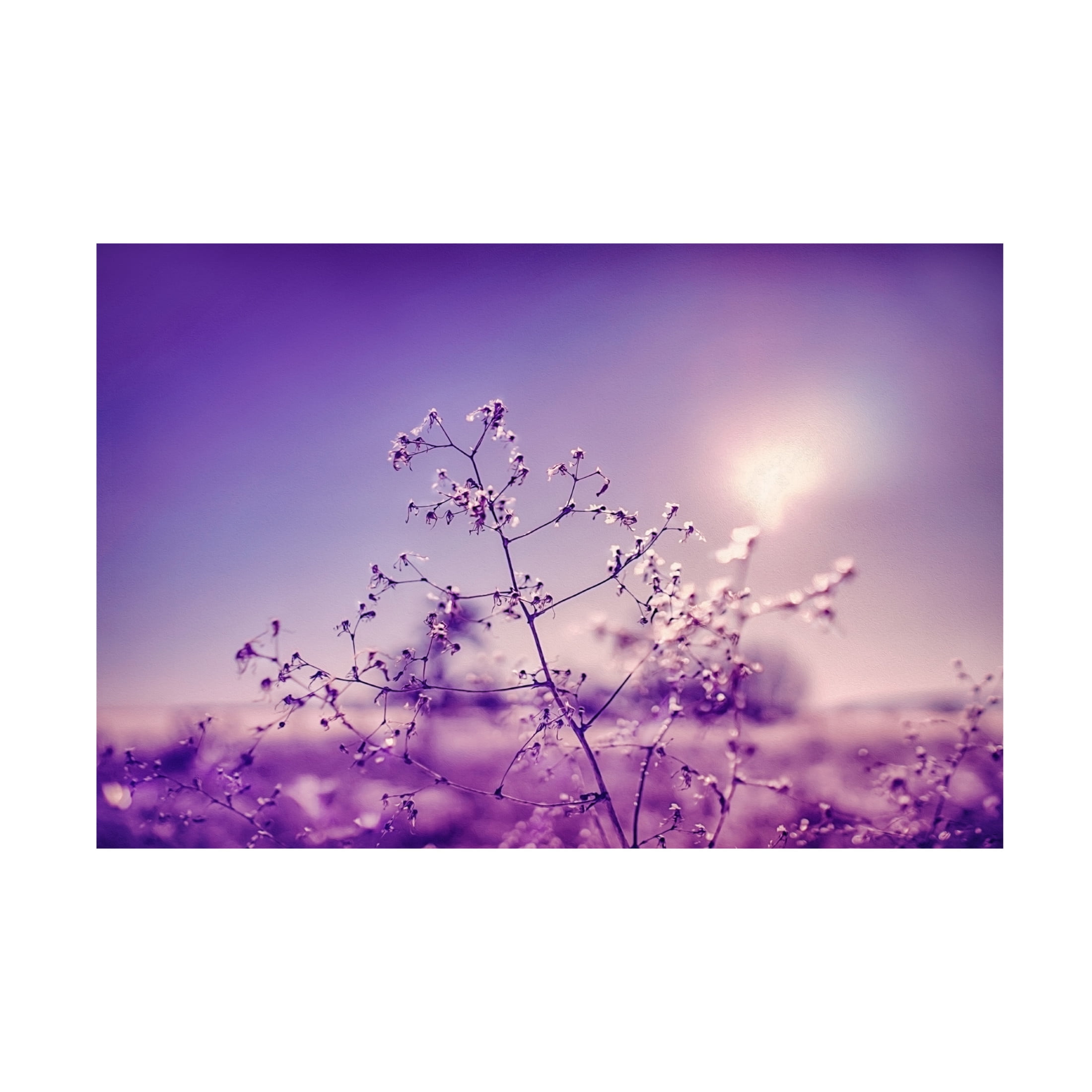 Canvas Wall Art - Ingo Menhard 'Winter Symphony' Wall Art for Living Room, Bedroom, or Office D?cor by Trademark Fine Art - 24 x 16 Inches