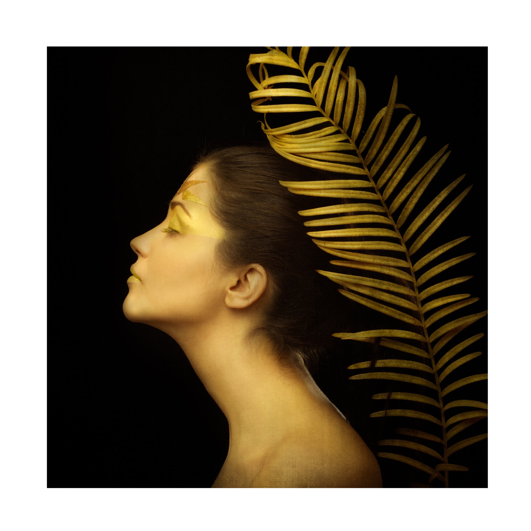 Canvas Wall Art - Ivan Tonov 'Leaf' Wall Art for Living Room, Bedroom, or Office D?cor by Trademark Fine Art - 35 x 35 Inches