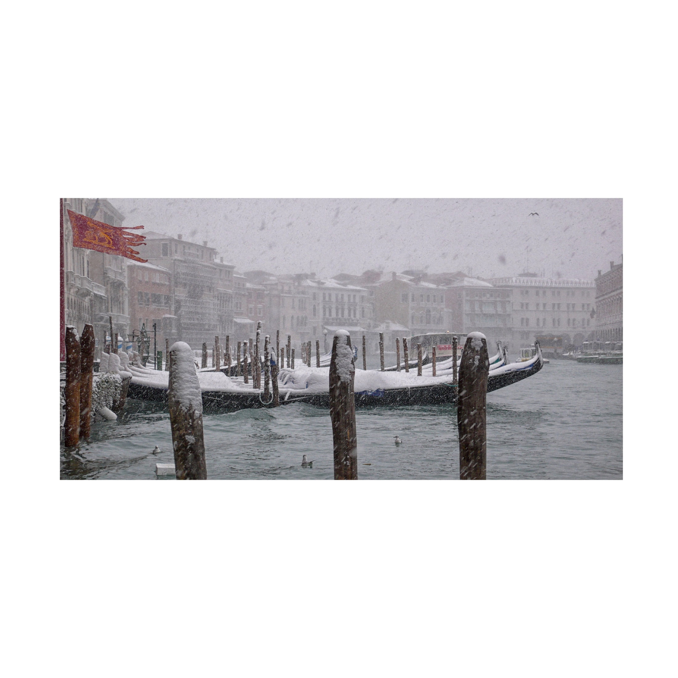 Canvas Wall Art - Izabella Vegh 'Nevica 2' Wall Art for Living Room, Bedroom, or Office Décor by Trademark Fine Art - 32 x 16 Inches