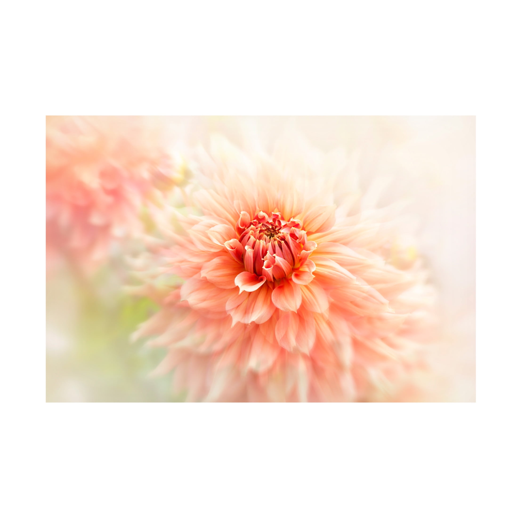Canvas Wall Art - Jacky Parker 'Glow' Wall Art for Living Room, Bedroom, or Office D?cor by Trademark Fine Art - 32 x 22 Inches