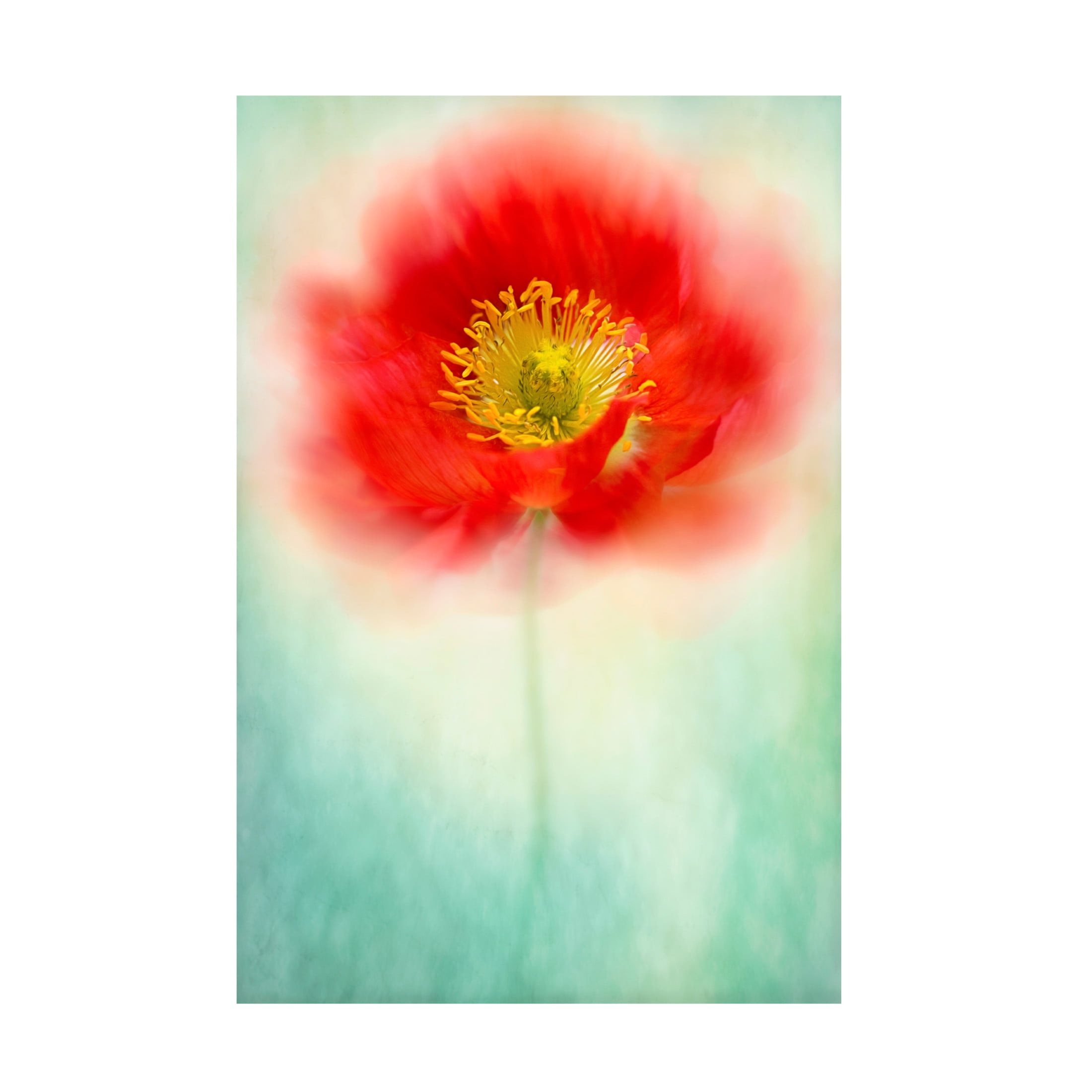 Canvas Wall Art - Jacky Parker 'Sprite' Wall Art for Living Room, Bedroom, or Office Décor by Trademark Fine Art - 30 x 47 Inches
