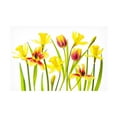 thumbnail image 1 of Canvas Wall Art - Jacky Parker 'Vibrant Spring' Wall Art for Living Room, Bedroom, or Office Décor by Trademark Fine Art - 47 x 30 Inches, 1 of 4