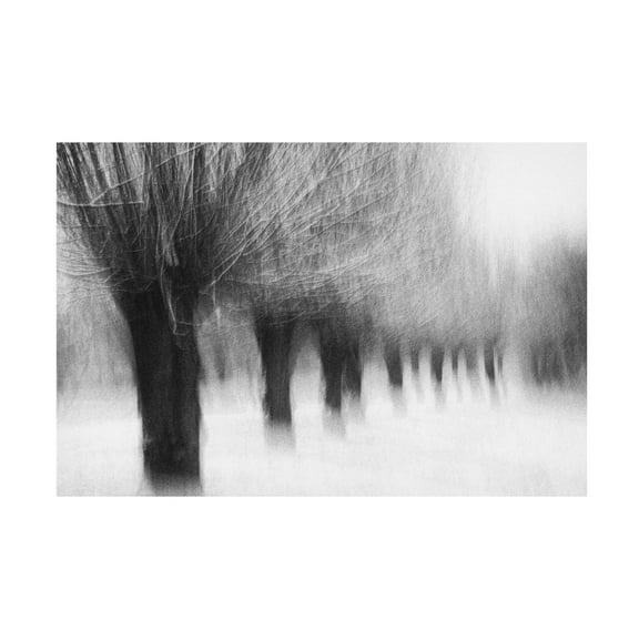 Canvas Wall Art - Jacqueline Van Bijnen 'Winterwillows' Wall Art for Living Room, Bedroom, or Office D?cor by Trademark Fine Art - 24 x 16 Inches