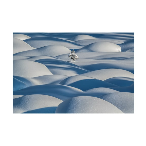 Canvas Wall Art - James S. Chia 'Standing Strong' Wall Art for Living Room, Bedroom, or Office Décor by Trademark Fine Art - 19 x 12 Inches