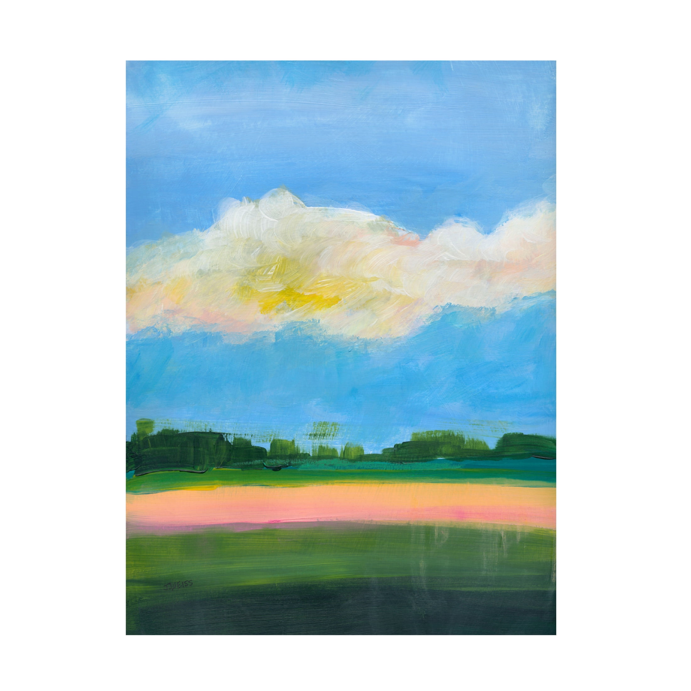 Canvas Wall Art - Jan Weiss 'Beneath a Cloudy Sky 2' Wall Art for Living Room, Bedroom, or Office Décor by Trademark Fine Art - 35 x 47 Inches