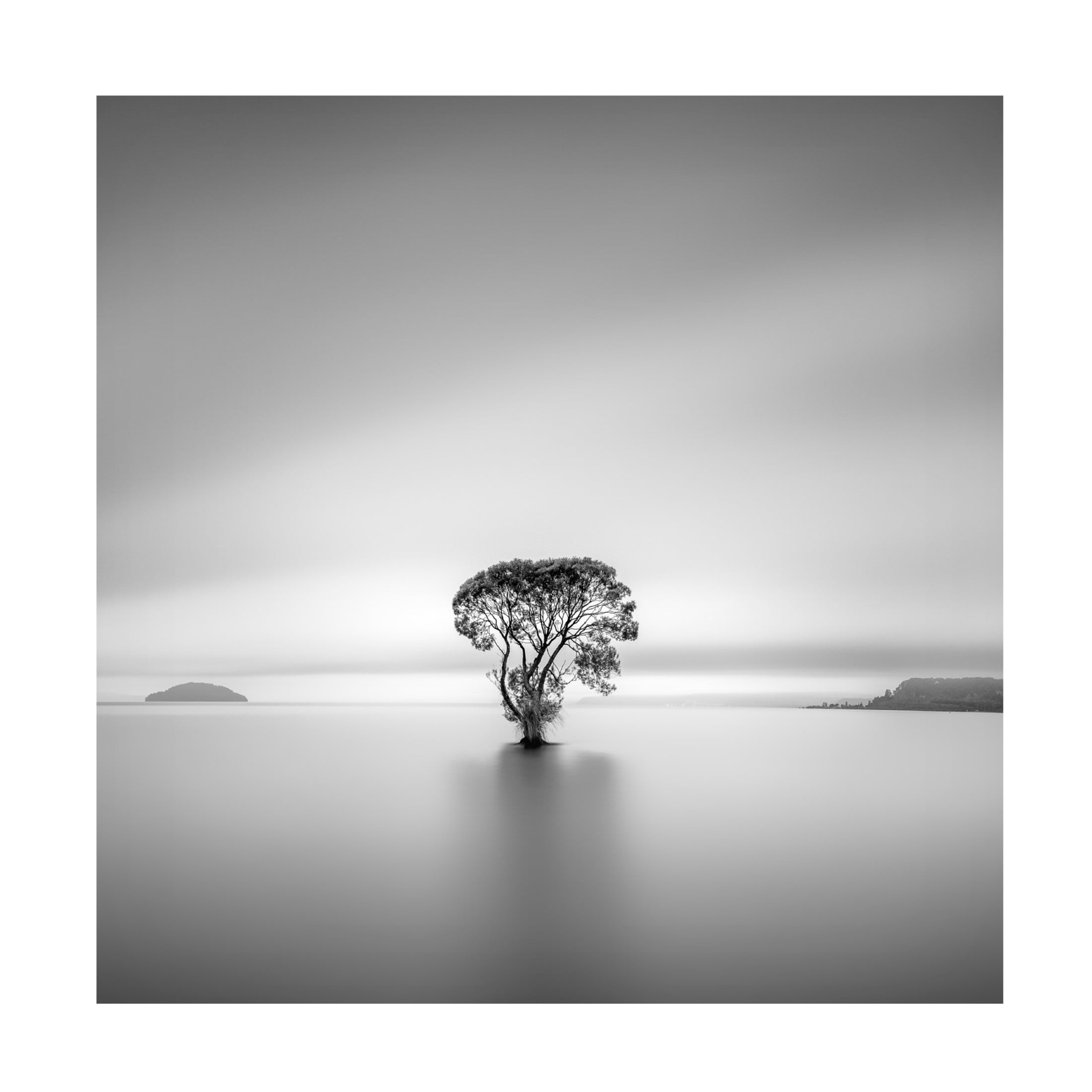 Canvas Wall Art - Jana Luo 'Untitled' Wall Art for Living Room, Bedroom, or Office Décor by Trademark Fine Art - 35 x 35 Inches