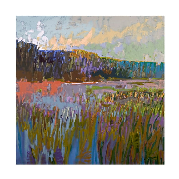 Canvas Wall Art - Jane Schmidt 'More Than The Eye Can See' Wall Art for Living Room, Bedroom, or Office Décor by Trademark Fine Art - 14 x 14 Inches