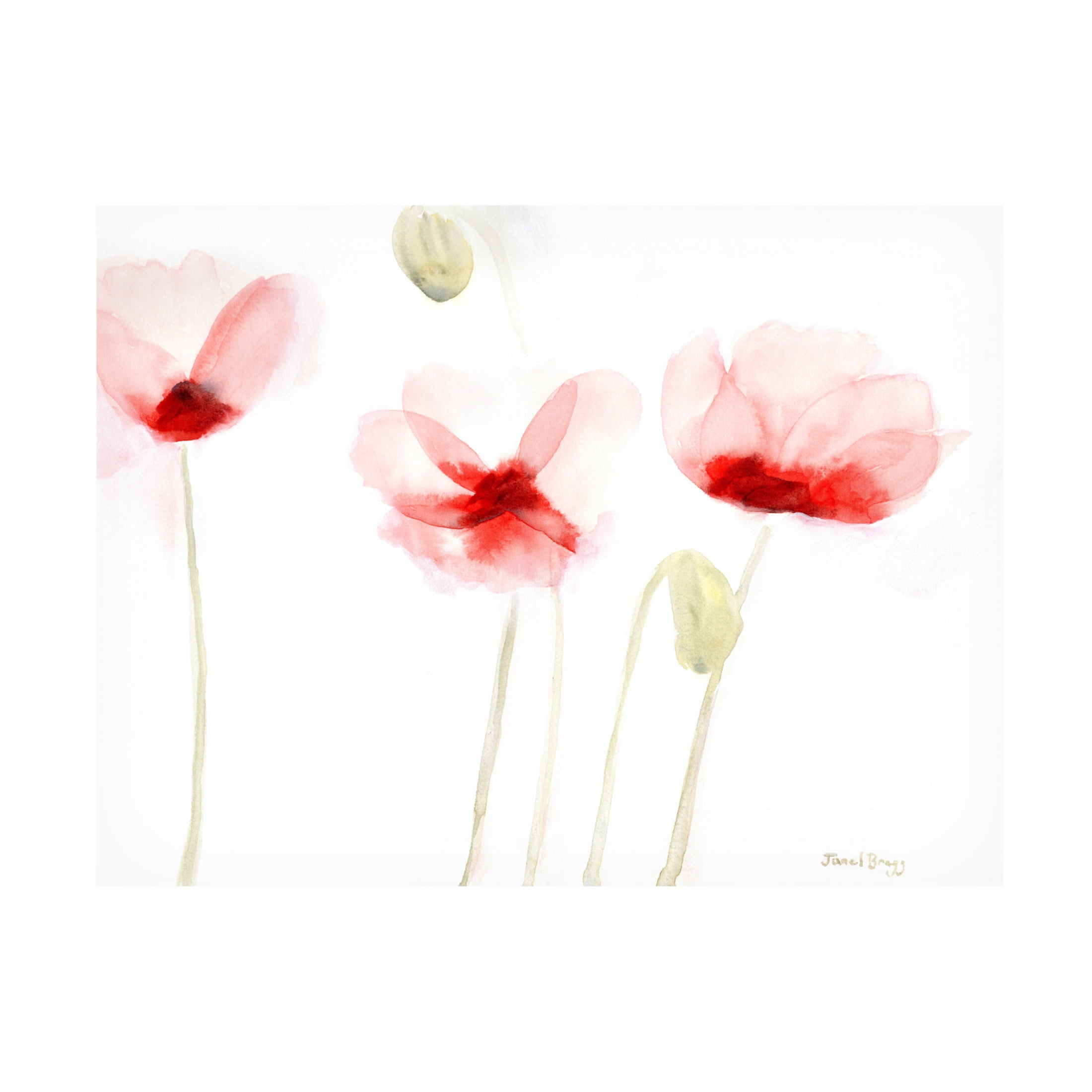 Canvas Wall Art - Janel Bragg 'Poppies From Memory' Wall Art for Living Room, Bedroom, or Office Décor by Trademark Fine Art - 19 x 14 Inches