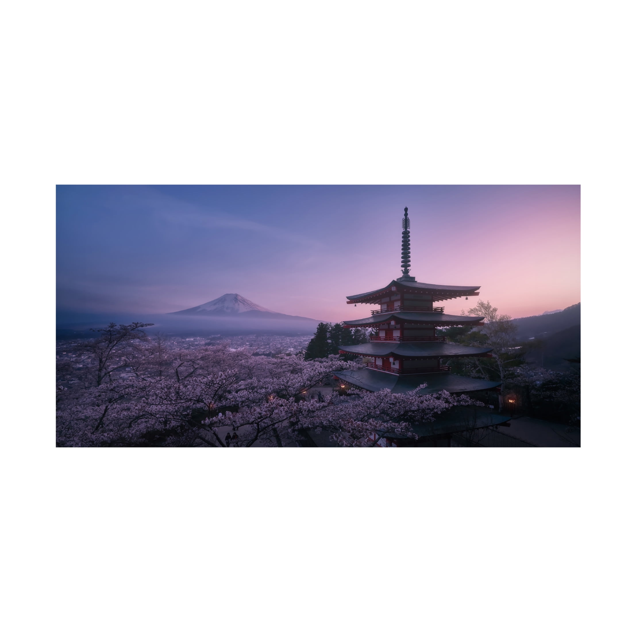 Canvas Wall Art - Javier De La 'Mt Fuji Sakura' Wall Art for Living Room, Bedroom, or Office D?cor by Trademark Fine Art - 24 x 12 Inches