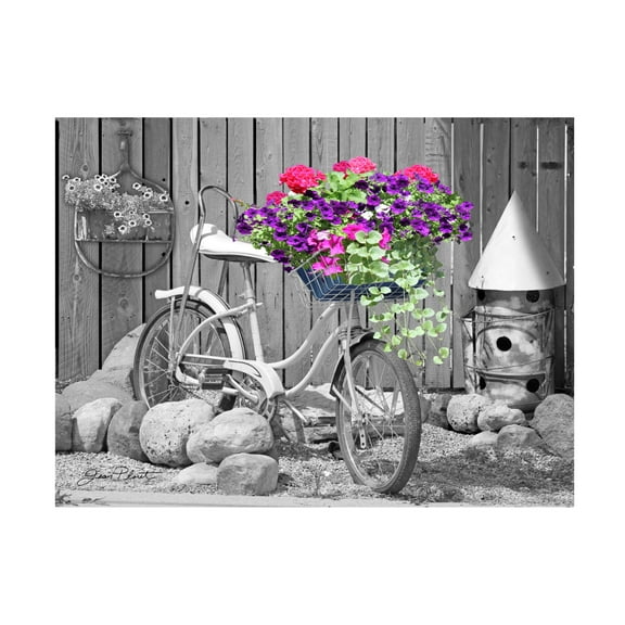 Canvas Wall Art - Jean Plout 'Bike With Flower Basket B' Wall Art for Living Room, Bedroom, or Office Décor by Trademark Fine Art - 19 x 14 Inches
