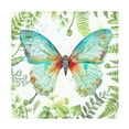 thumbnail image 1 of Canvas Wall Art - Jean Plout 'Botanical Butterfly Beauty 2' Wall Art for Living Room, Bedroom, or Office Décor by Trademark Fine Art - 18 x 18 Inches, 1 of 4