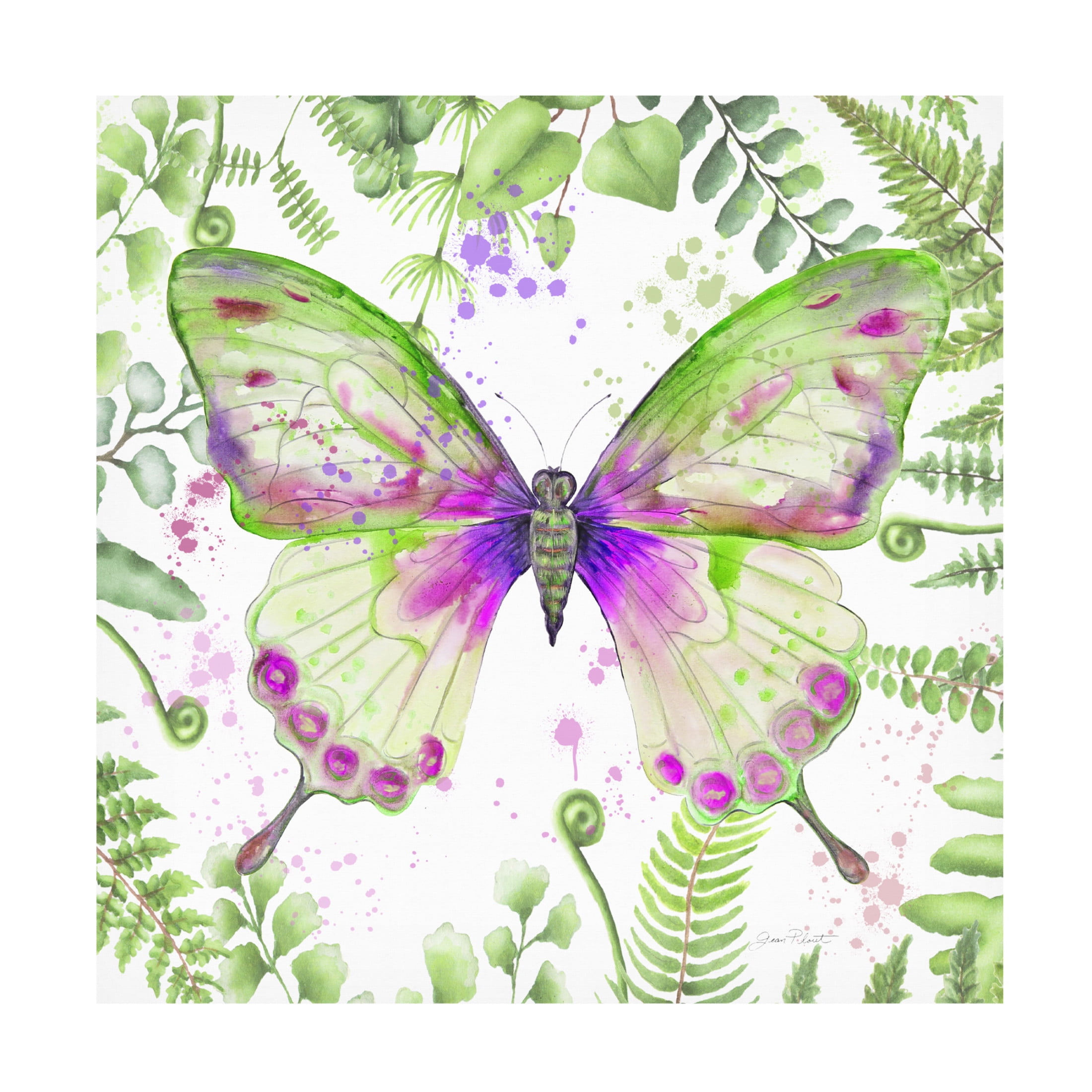 Canvas Wall Art - Jean Plout 'Botanical Butterfly Beauty 3' Wall Art for Living Room, Bedroom, or Office Décor by Trademark Fine Art - 35 x 35 Inches