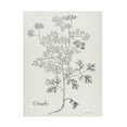thumbnail image 1 of Canvas Wall Art - Jean Plout 'Botanical Studies on Paper A' Wall Art for Living Room, Bedroom, or Office Décor by Trademark Fine Art - 24 x 32 Inches, 1 of 4