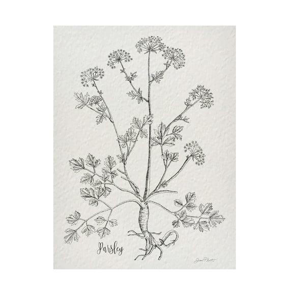 Canvas Wall Art - Jean Plout 'Botanical Studies on Paper B' Wall Art for Living Room, Bedroom, or Office Décor by Trademark Fine Art - 14 x 19 Inches