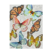 Canvas Wall Art - Jean Plout 'Butterfly Gathering A' Wall Art for Living Room, Bedroom, or Office DÃ©cor by Trademark Fine Art - 14 x 19 Inches