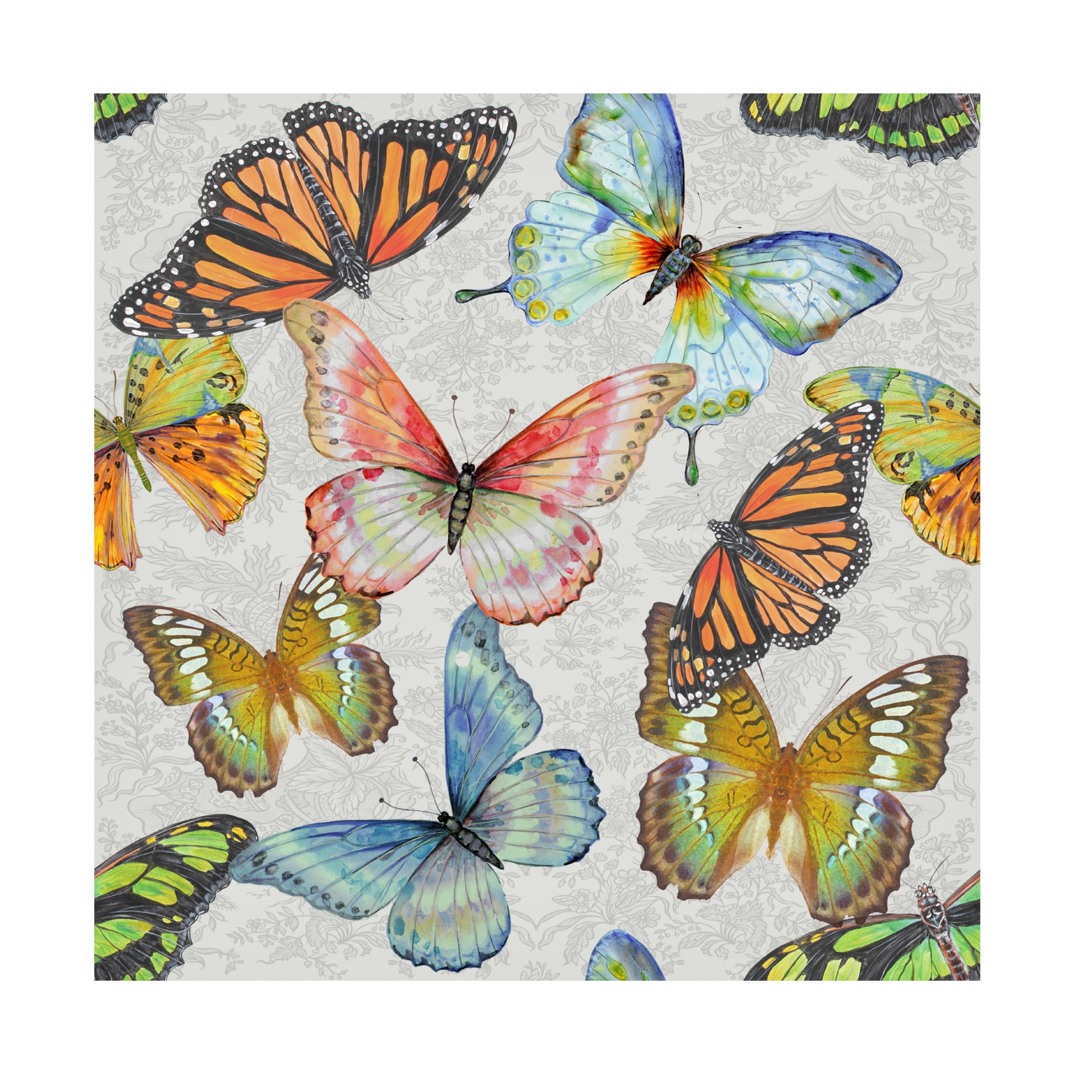 Canvas Wall Art - Jean Plout 'Butterfly Gathering C' Wall Art for Living Room, Bedroom, or Office Décor by Trademark Fine Art - 35 x 35 Inches