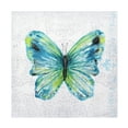 thumbnail image 1 of Canvas Wall Art - Jean Plout 'Elegant Butterfly A' Wall Art for Living Room, Bedroom, or Office Décor by Trademark Fine Art - 24 x 24 Inches, 1 of 4