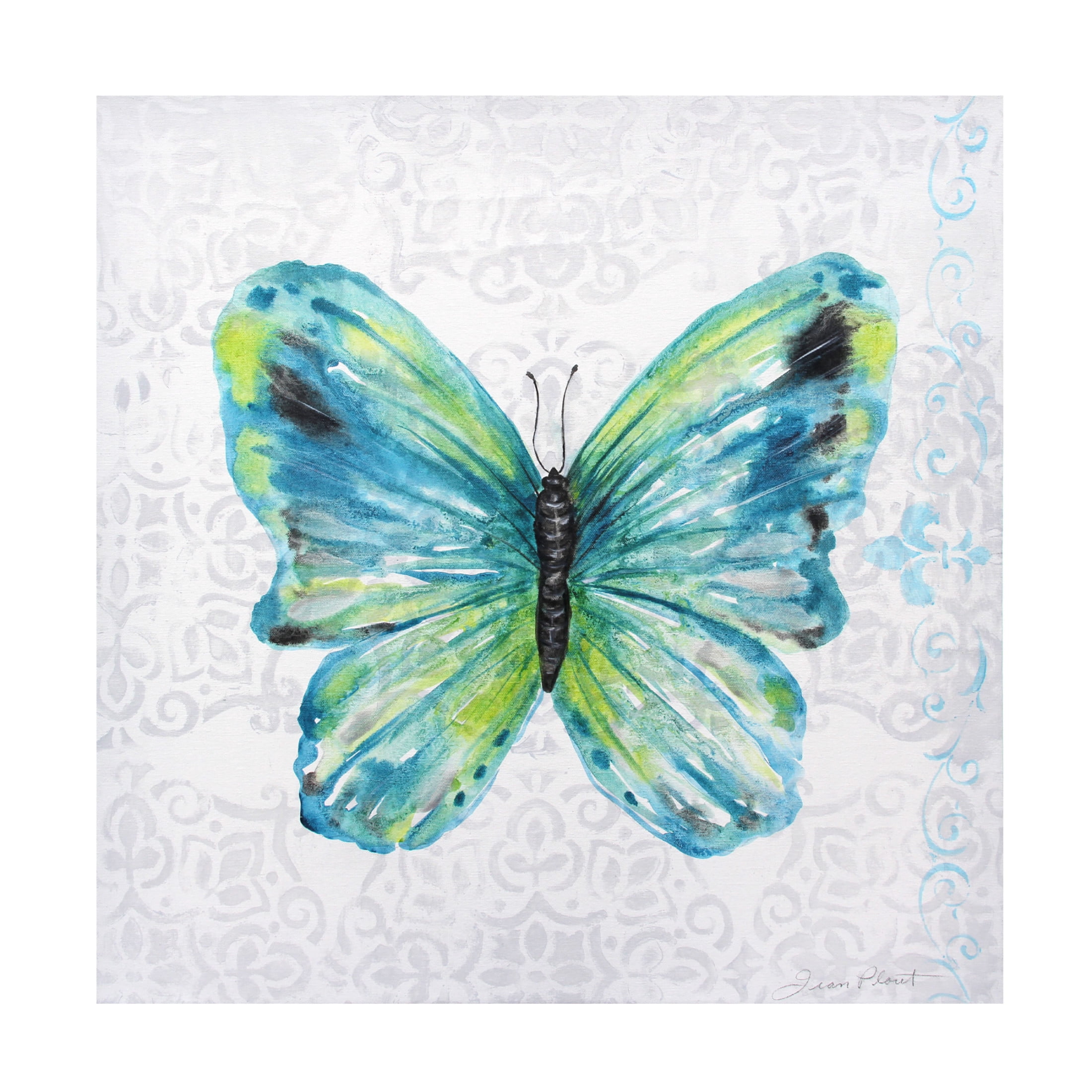 Canvas Wall Art - Jean Plout 'Elegant Butterfly A' Wall Art for Living Room, Bedroom, or Office Décor by Trademark Fine Art - 35 x 35 Inches