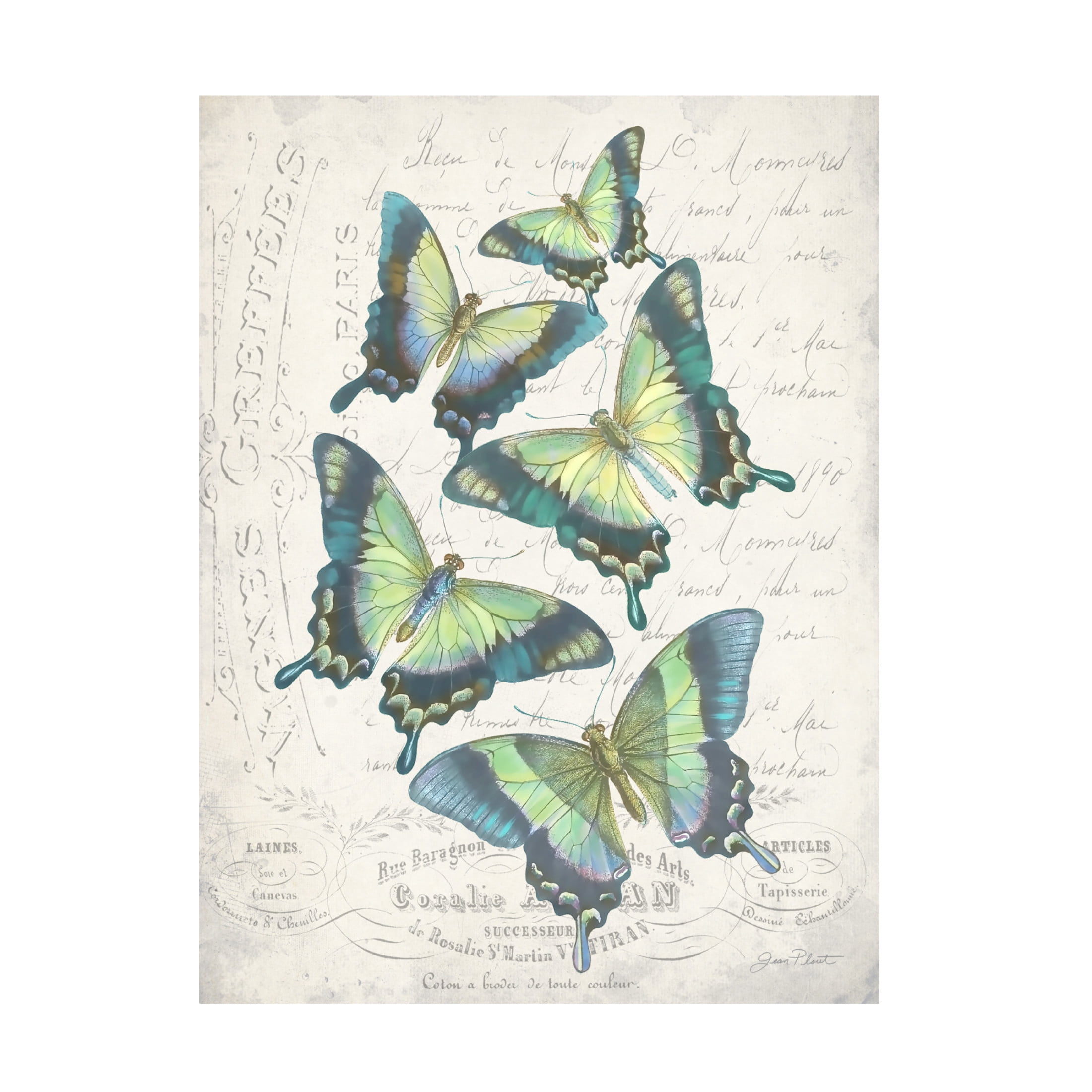Canvas Wall Art - Jean Plout 'Gorgeous French Butterflies' Wall Art for Living Room, Bedroom, or Office Décor by Trademark Fine Art - 14 x 19 Inches