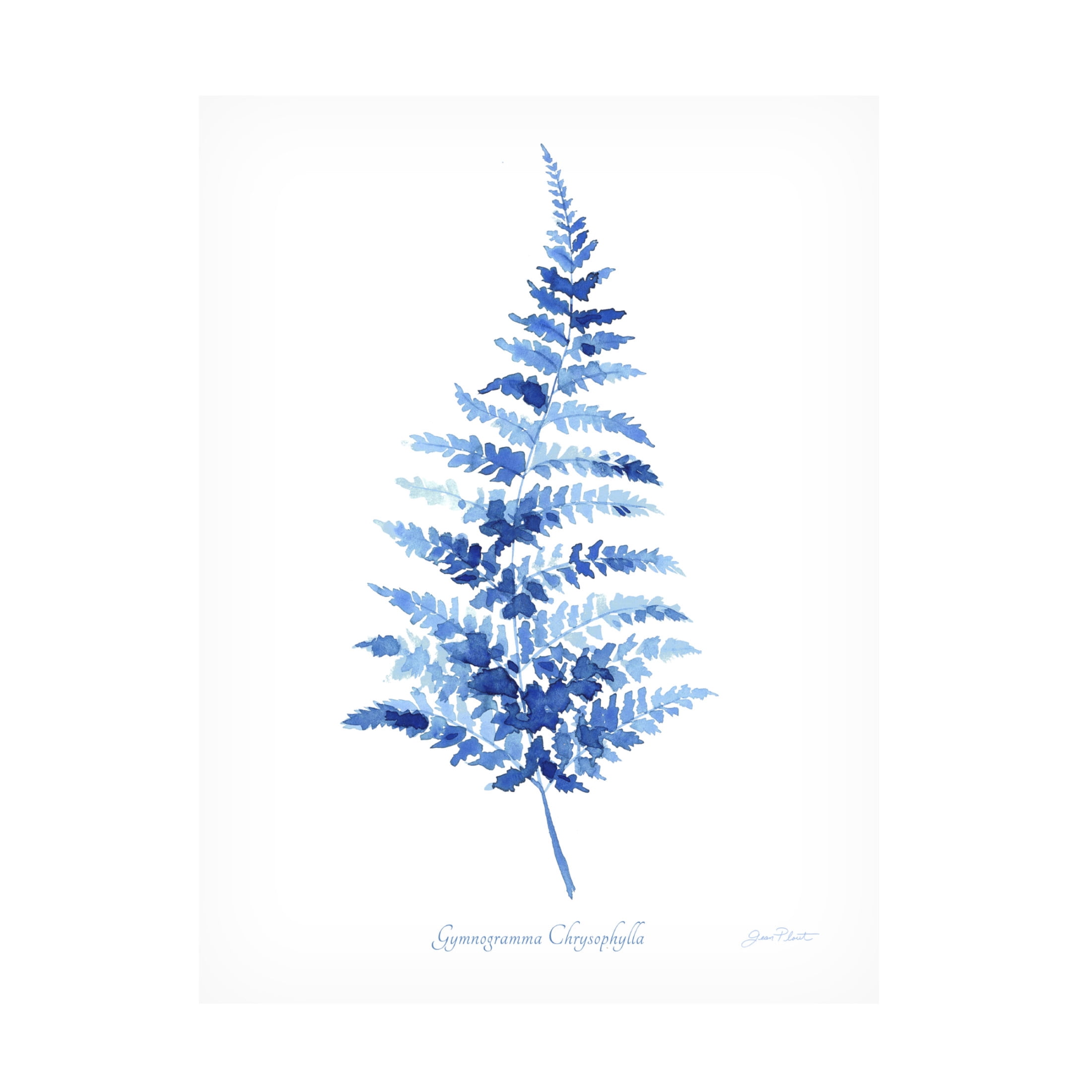 Canvas Wall Art - Jean Plout 'Indigo Botanical 10' Wall Art for Living Room, Bedroom, or Office Décor by Trademark Fine Art - 14 x 19 Inches