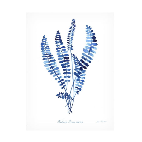 Canvas Wall Art - Jean Plout 'Indigo Botanical 11' Wall Art for Living Room, Bedroom, or Office Décor by Trademark Fine Art - 24 x 32 Inches