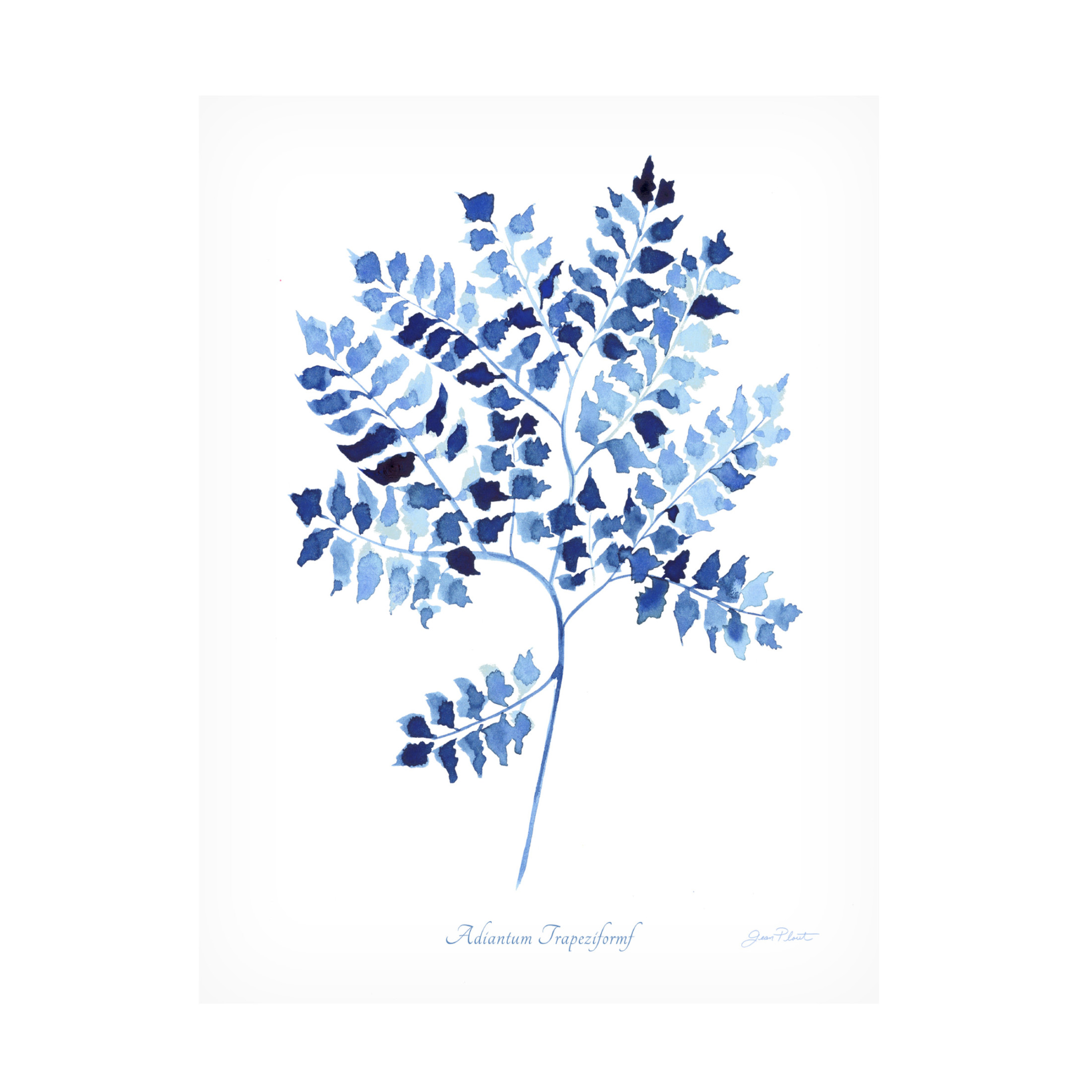 Canvas Wall Art - Jean Plout 'Indigo Botanical 12' Wall Art for Living Room, Bedroom, or Office Décor by Trademark Fine Art - 14 x 19 Inches