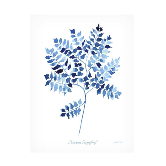 Canvas Wall Art - Jean Plout 'Indigo Botanical 12' Wall Art for Living Room, Bedroom, or Office Décor by Trademark Fine Art - 18 x 24 Inches