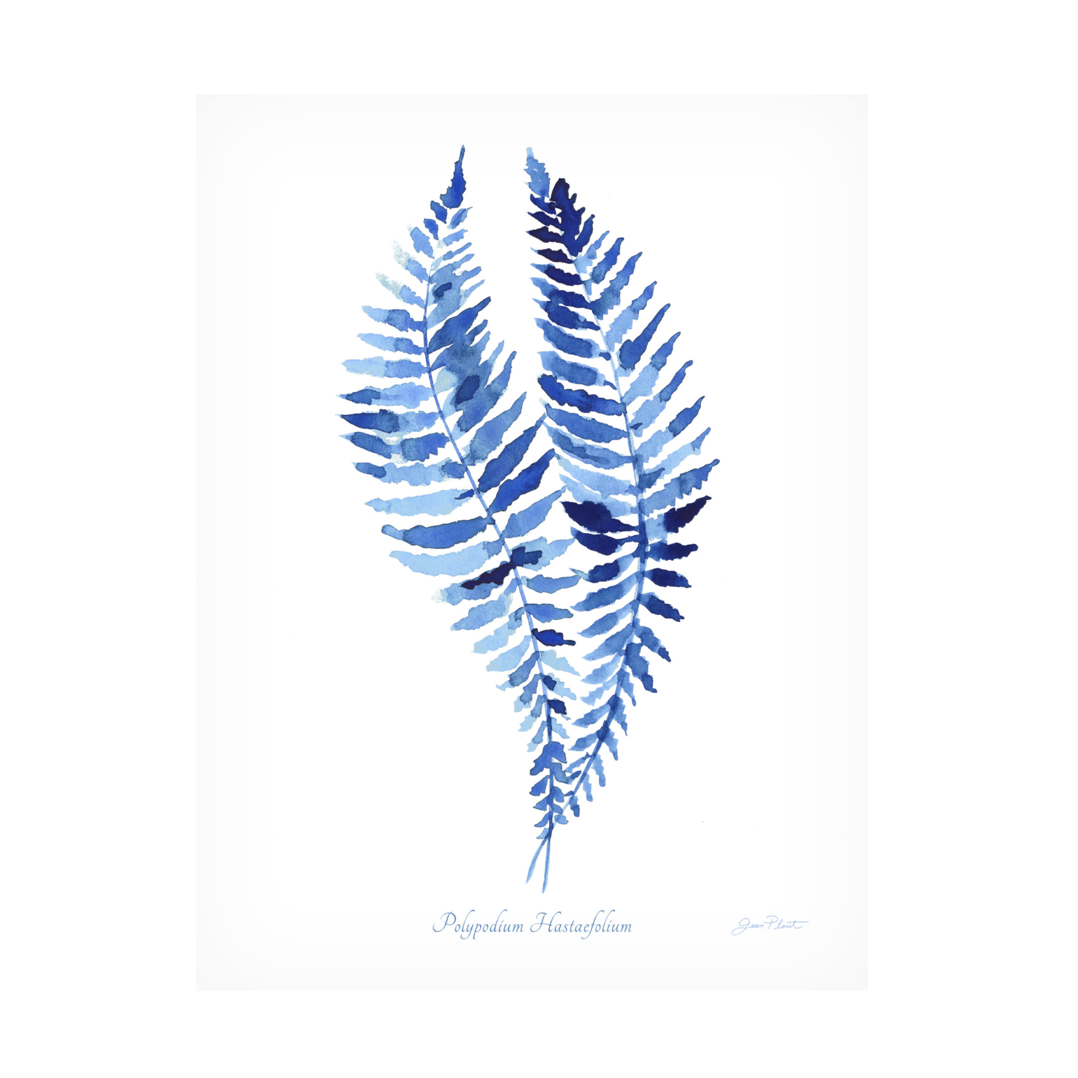 Canvas Wall Art - Jean Plout 'Indigo Botanical 4' Wall Art for Living Room, Bedroom, or Office Décor by Trademark Fine Art - 14 x 19 Inches