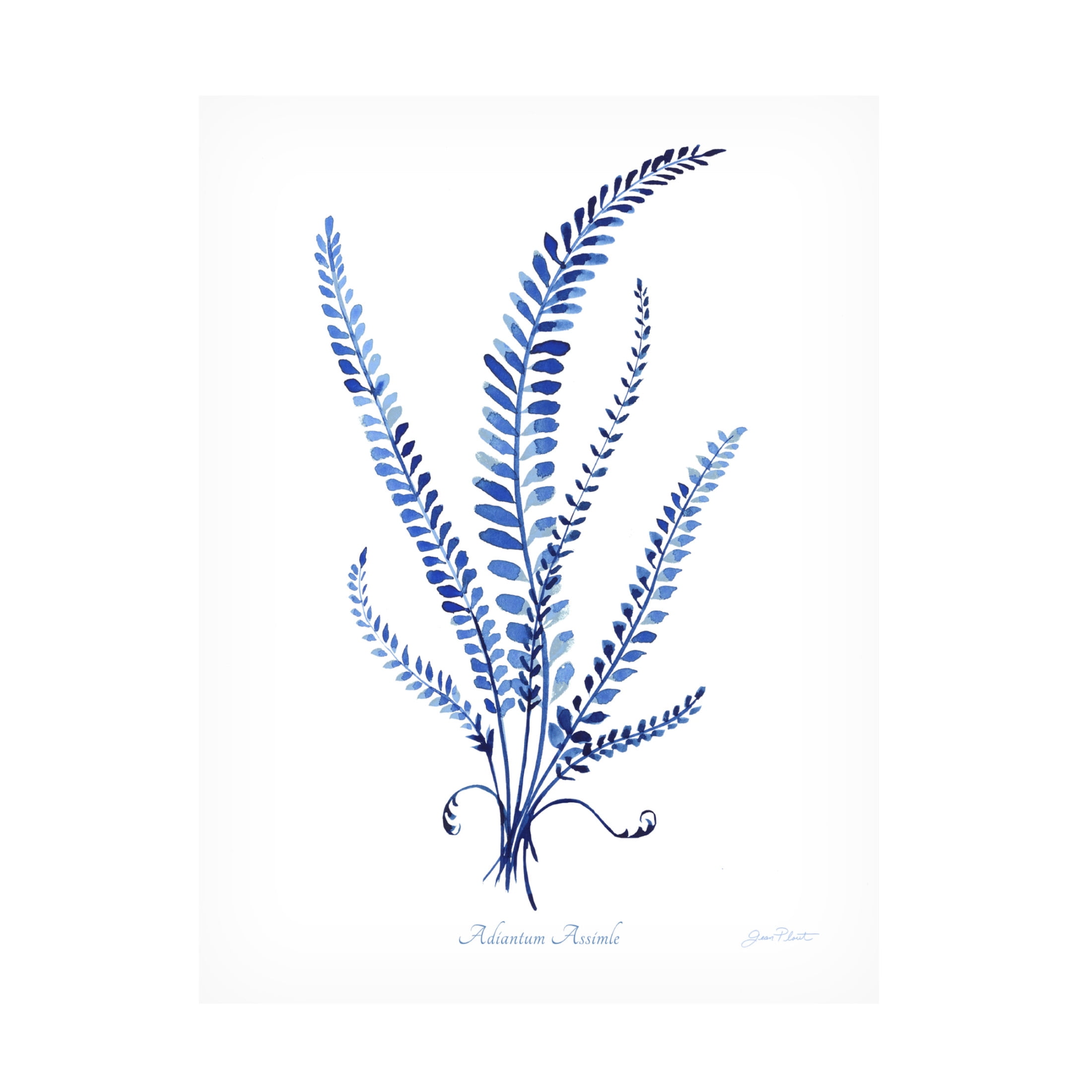 Canvas Wall Art - Jean Plout 'Indigo Botanical 5' Wall Art for Living Room, Bedroom, or Office Décor by Trademark Fine Art - 35 x 47 Inches