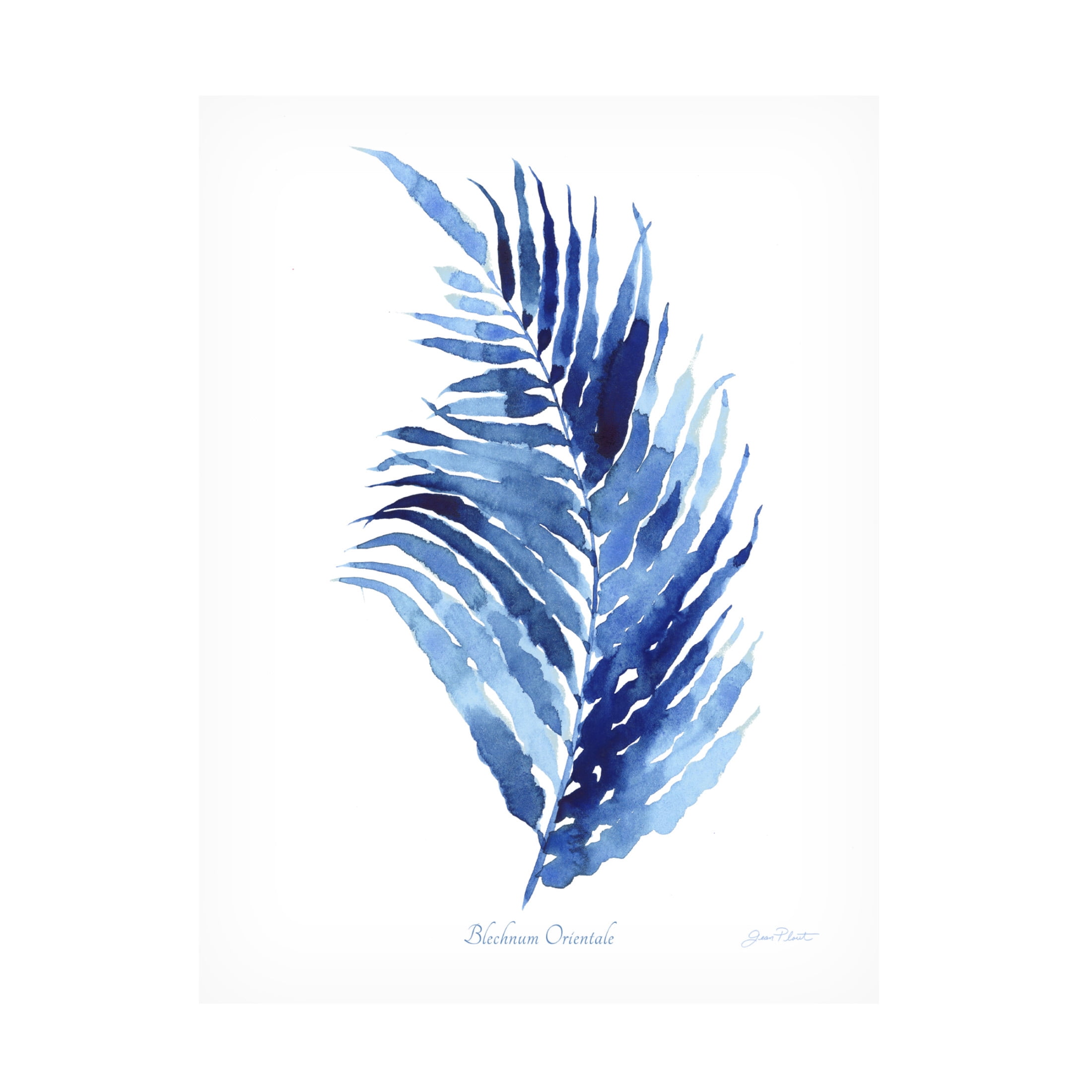 Canvas Wall Art - Jean Plout 'Indigo Botanical 7' Wall Art for Living Room, Bedroom, or Office Décor by Trademark Fine Art - 14 x 19 Inches
