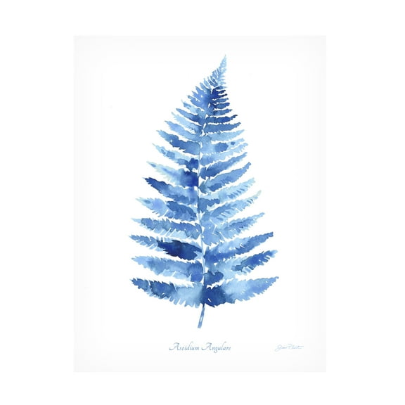 Canvas Wall Art - Jean Plout 'Indigo Botanical 8' Wall Art for Living Room, Bedroom, or Office Décor by Trademark Fine Art - 14 x 19 Inches