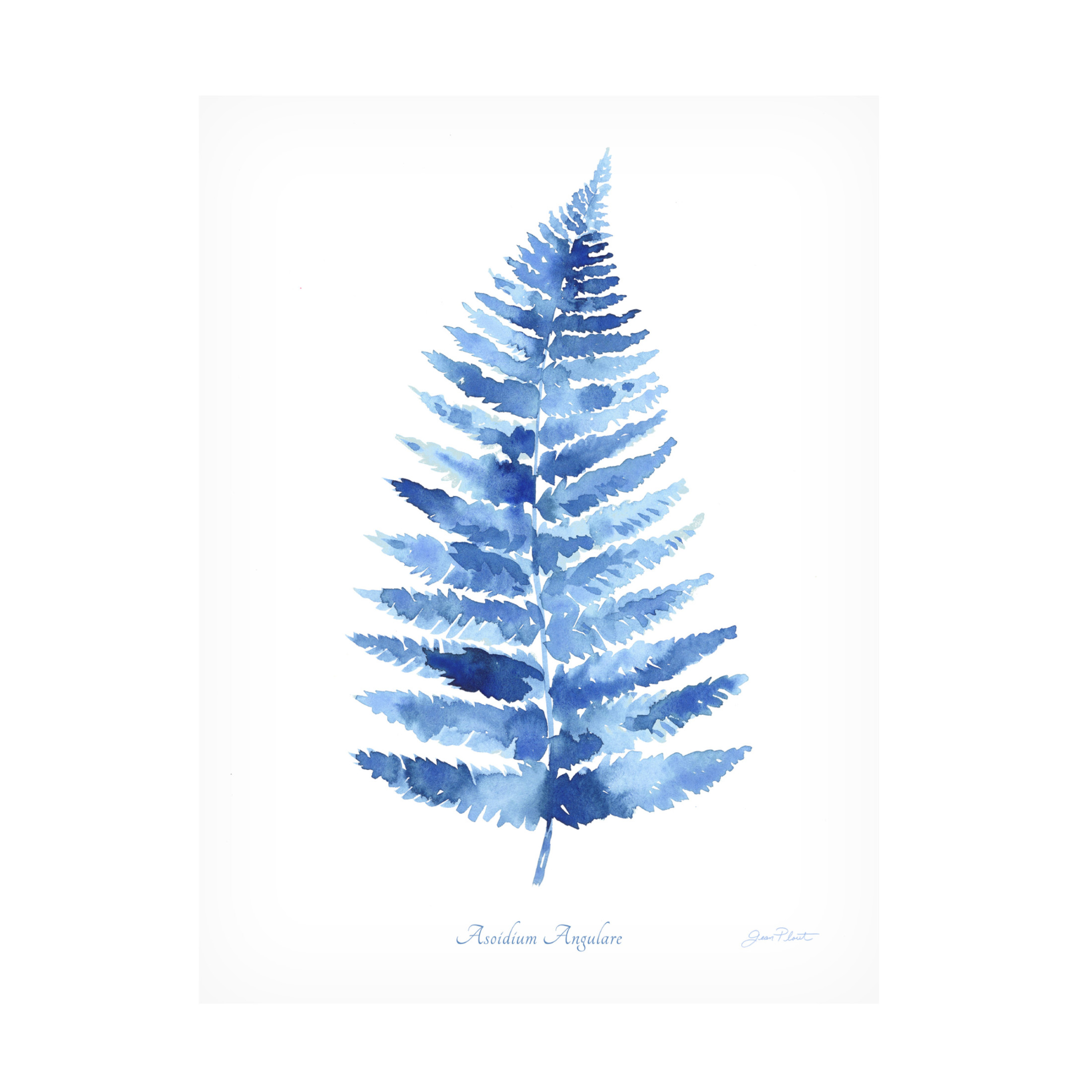 Canvas Wall Art - Jean Plout 'Indigo Botanical 8' Wall Art for Living Room, Bedroom, or Office Décor by Trademark Fine Art - 18 x 24 Inches