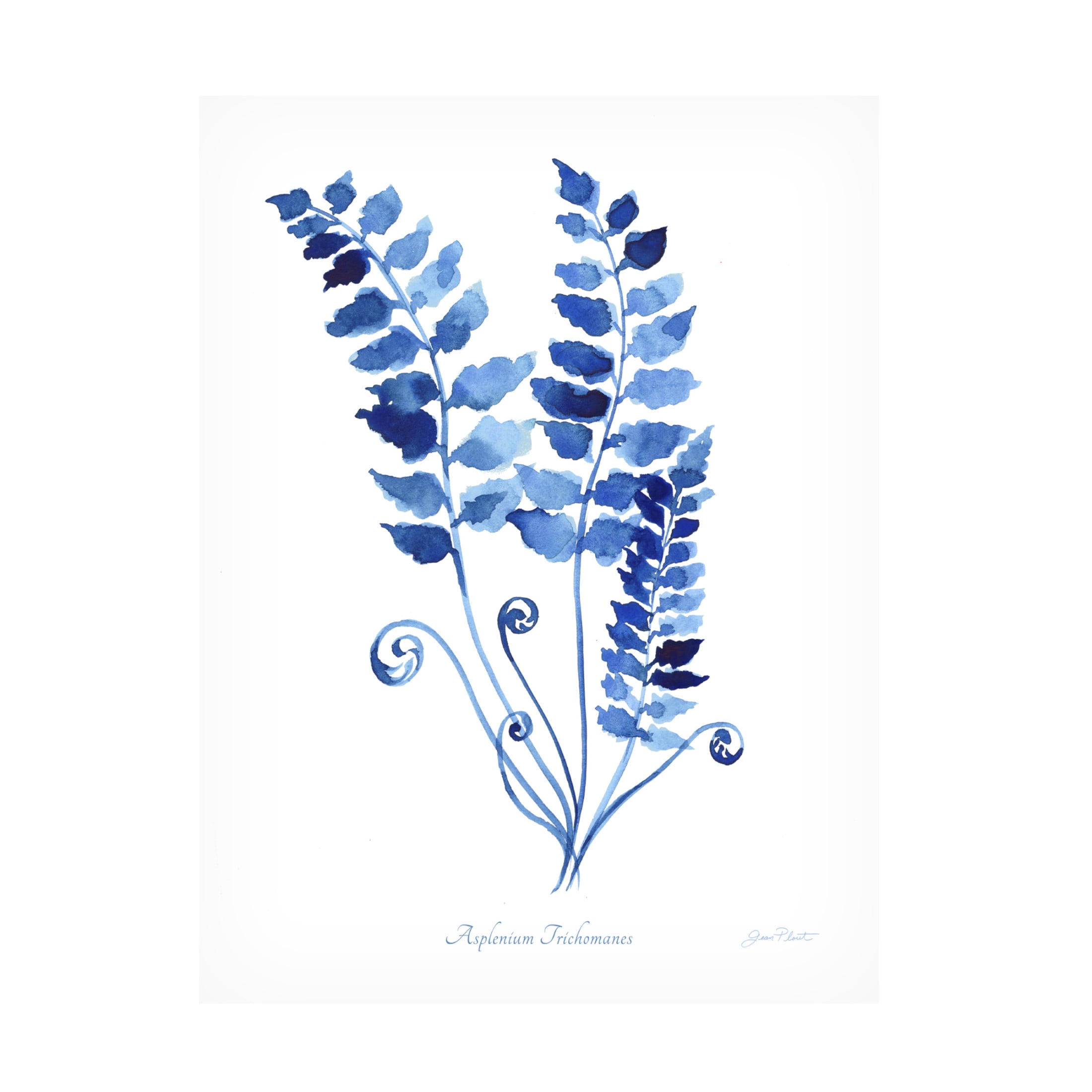 Canvas Wall Art - Jean Plout 'Indigo Botanical 9' Wall Art for Living Room, Bedroom, or Office Décor by Trademark Fine Art - 24 x 32 Inches