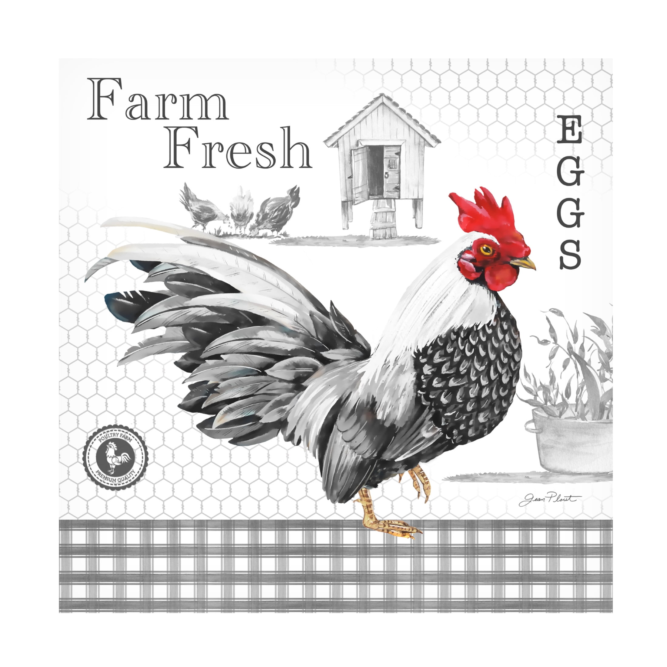 Canvas Wall Art - Jean Plout 'Plaid Country Rooster A' Wall Art for Living Room, Bedroom, or Office Décor by Trademark Fine Art - 35 x 35 Inches